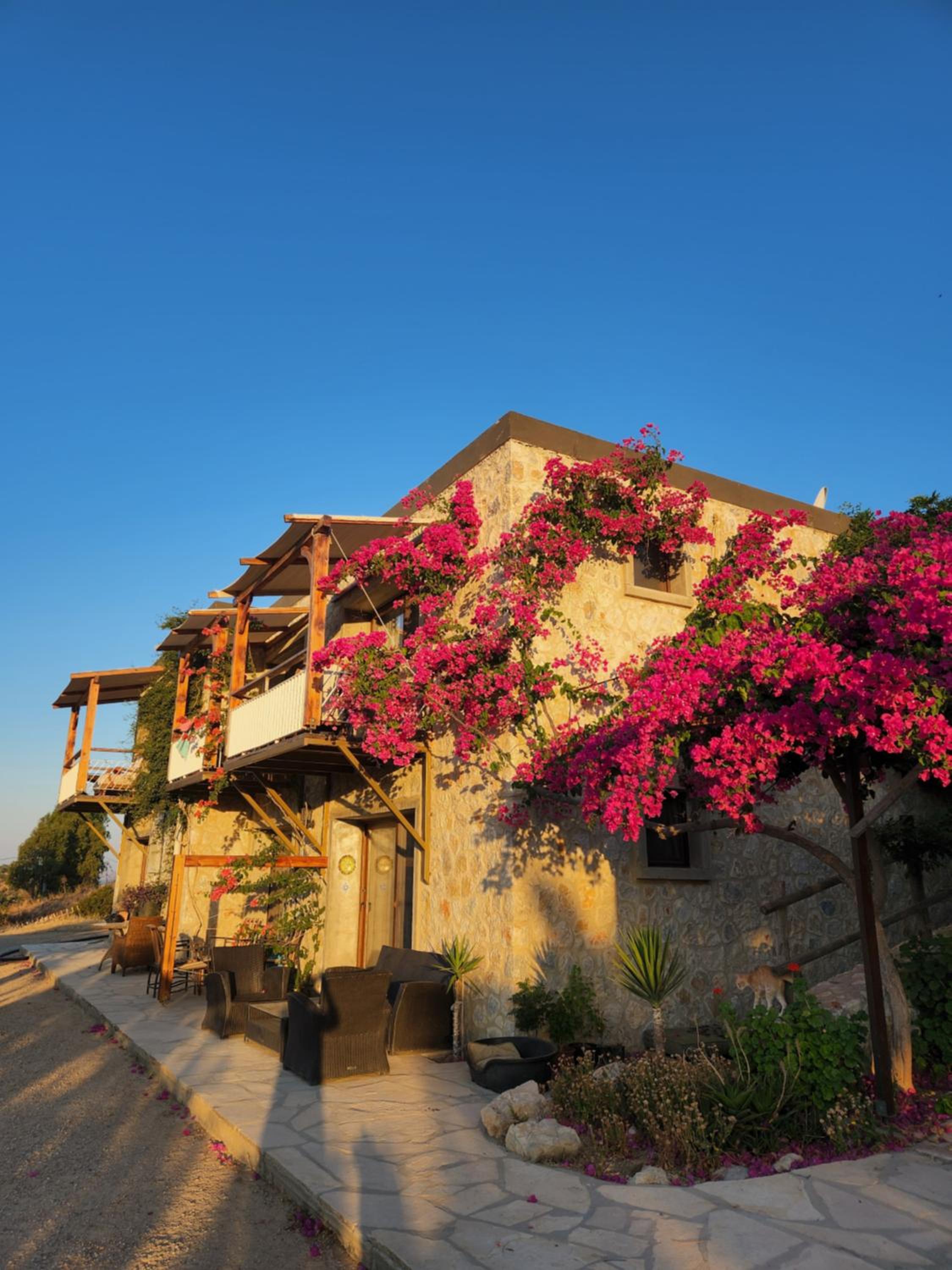 Eco Farm Boutique Hotel view 2