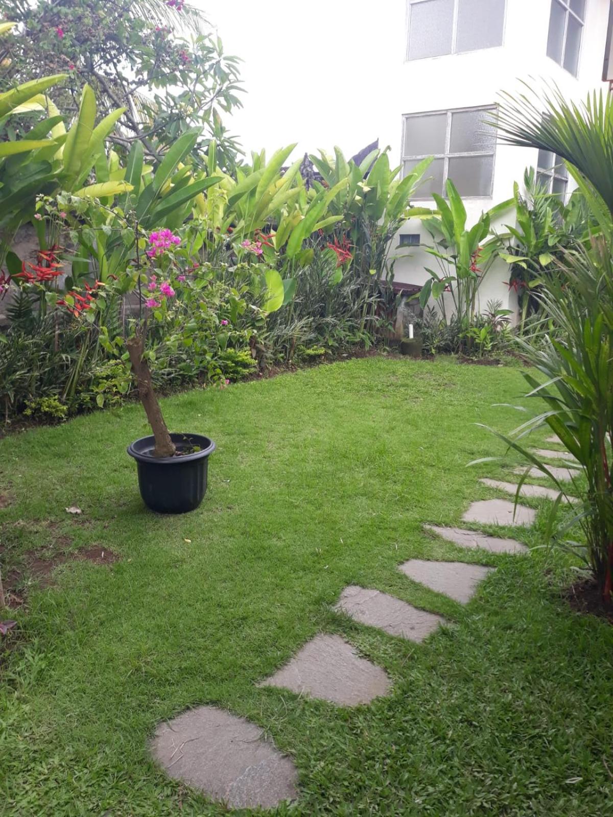 Photo 34
