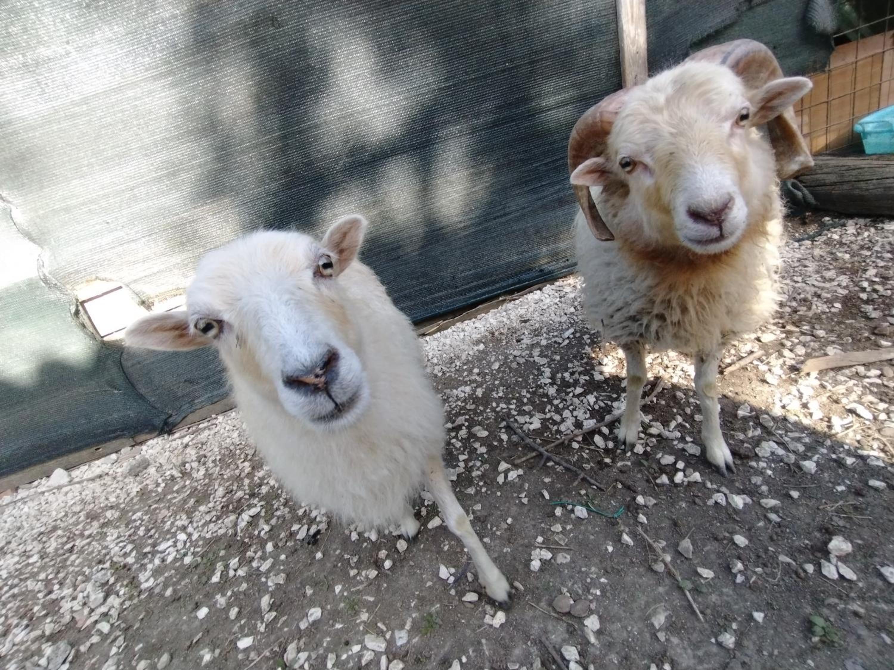 other