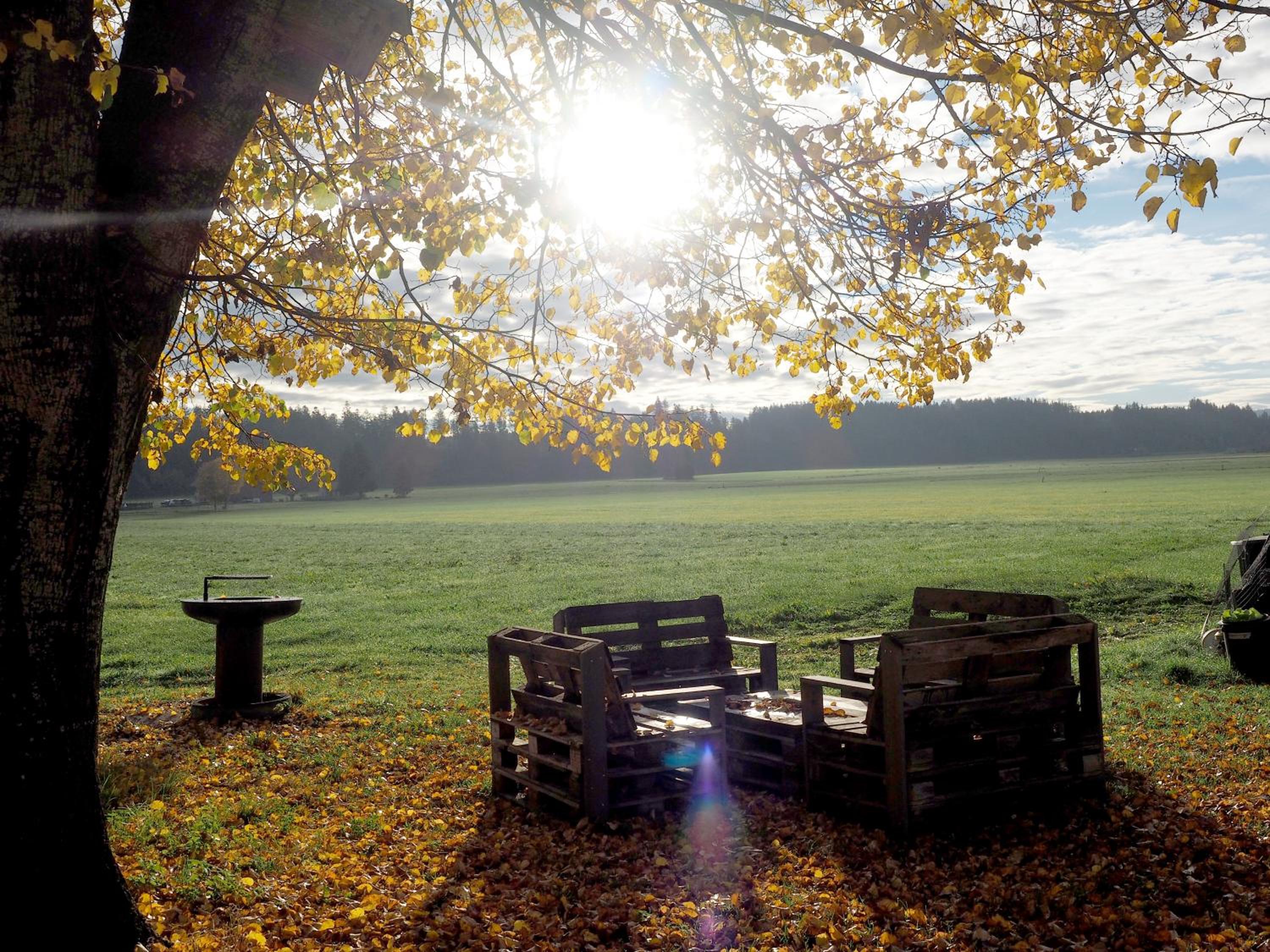 Ferienhof Allgäu