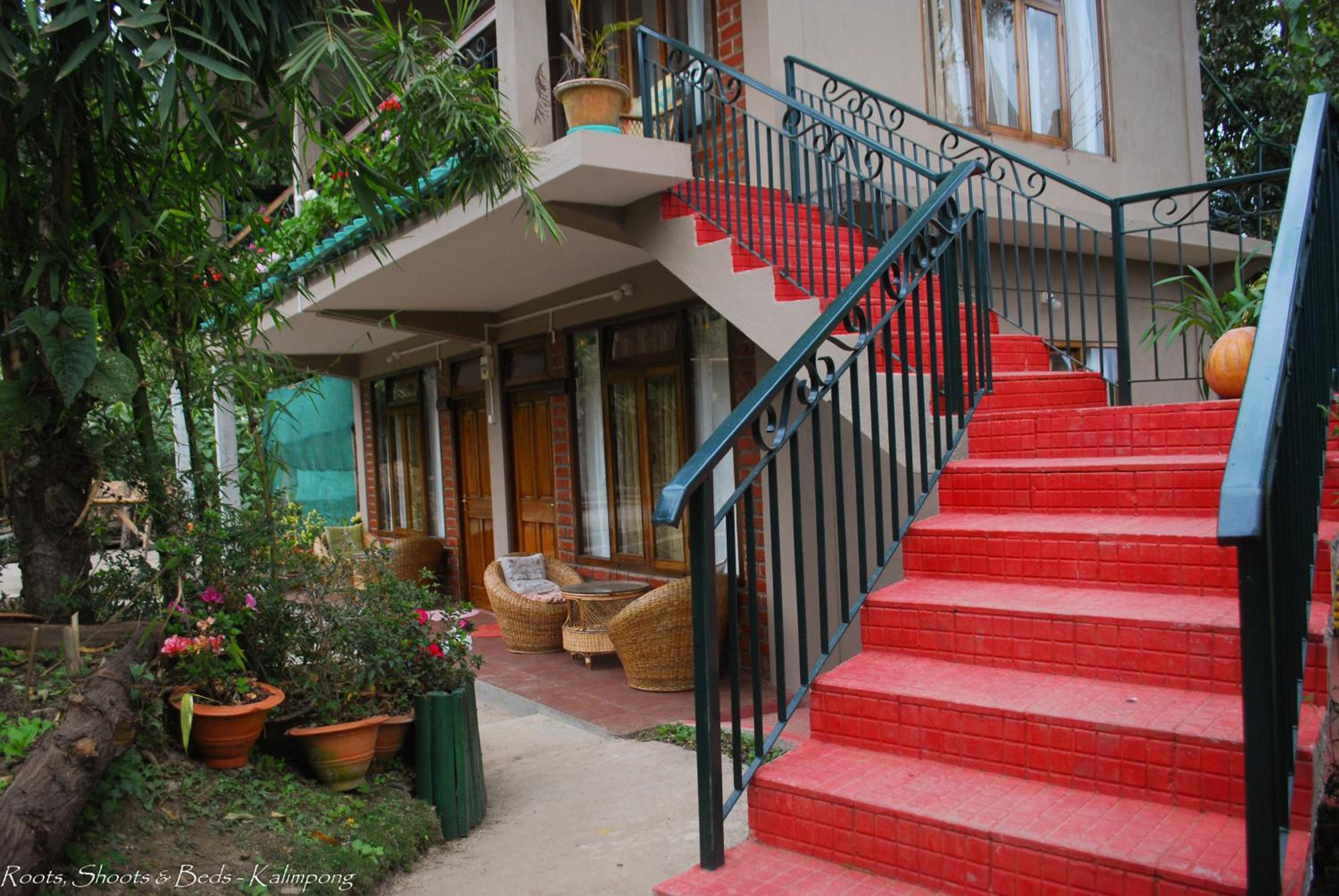 Photo 8