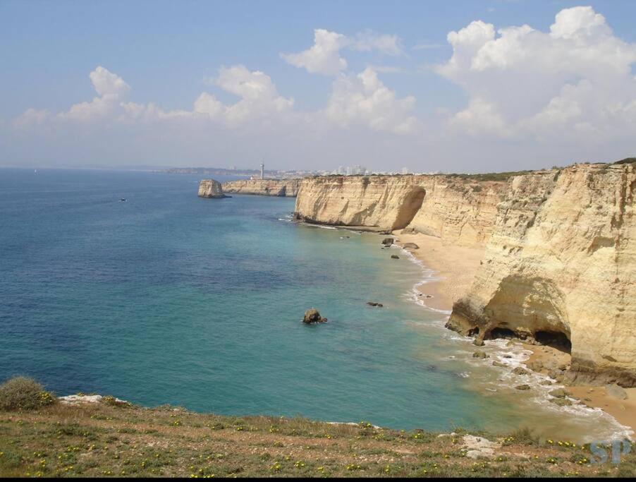 Spacious Two bedroom apt, 200m from the beach
