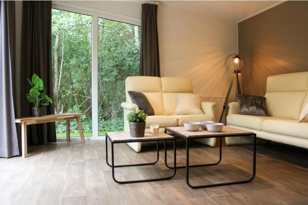 Vakantiehuis Fochteloërveen view 3
