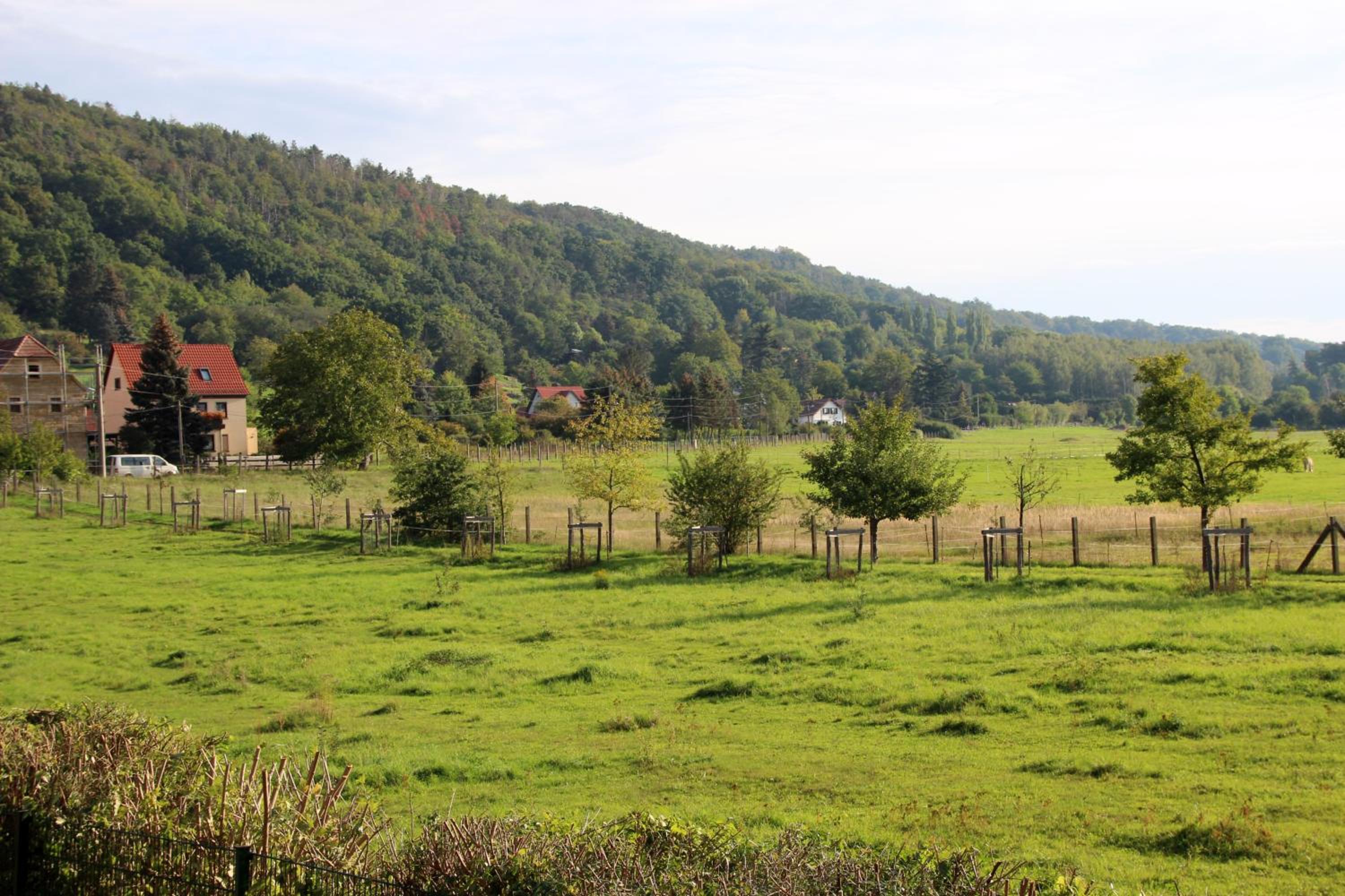 Dresden Vacations - Ferienwohnung Dresden Pillnitz am Weinberg - Property Image 5