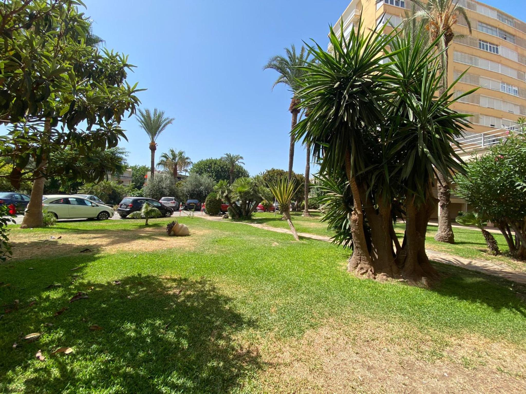 Photo 48