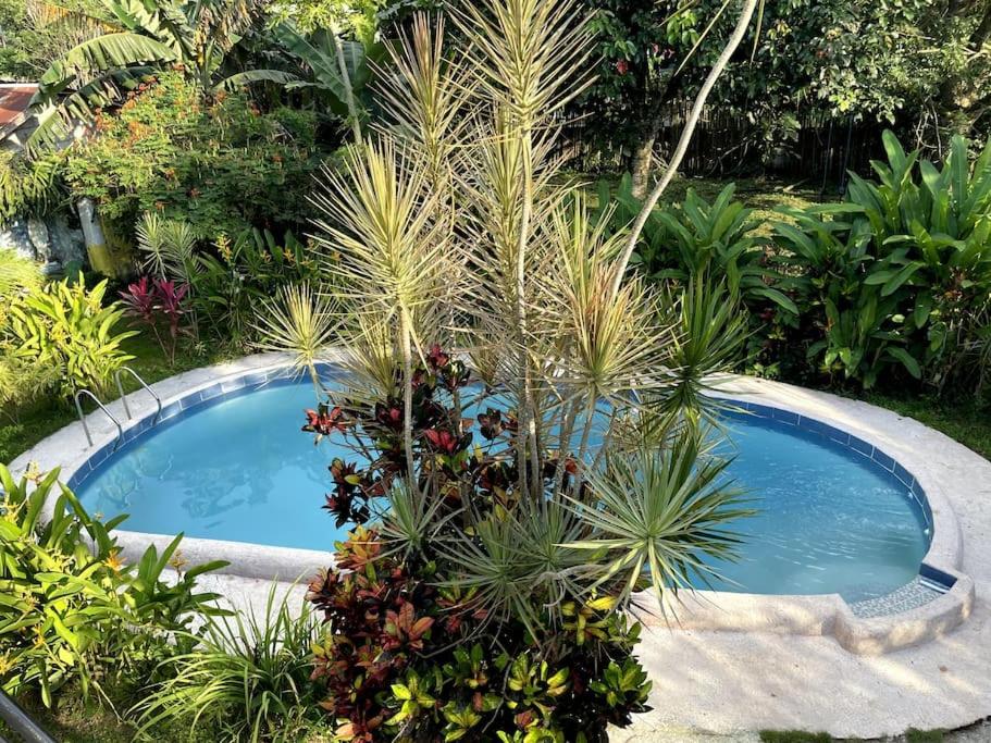 Charming 3-Bedroom Country Farm Home Pool ParkSprings Lipa