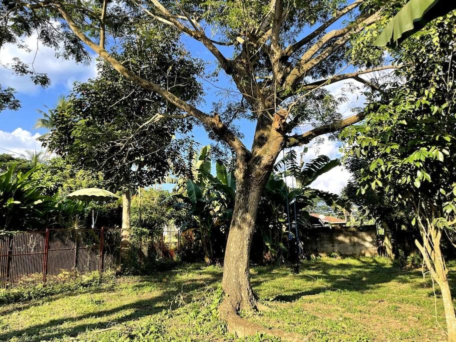 Charming 3-Bedroom Country Farm Home Pool ParkSprings Lipa