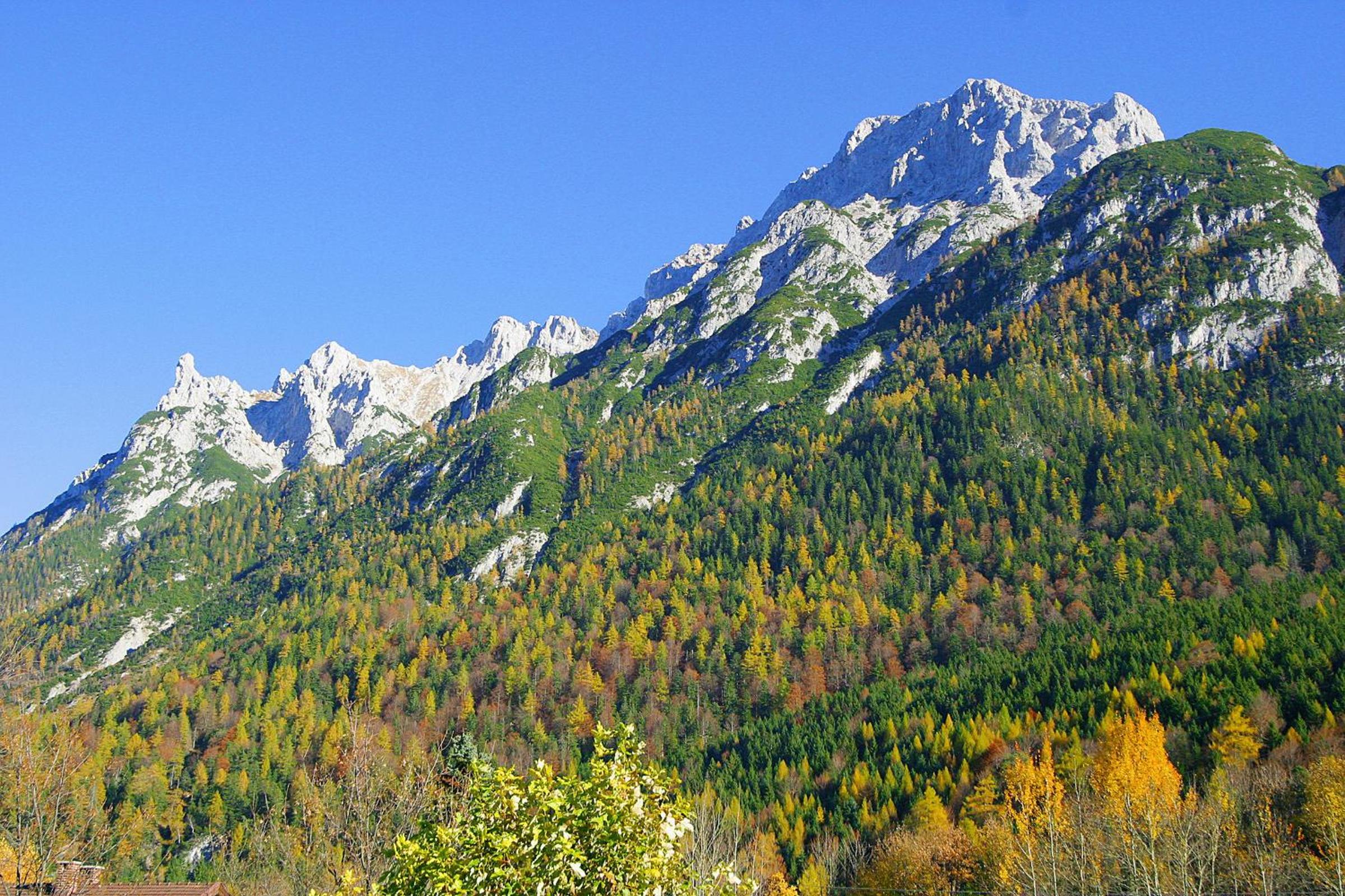 Ferienwohnungen Merzer view 4
