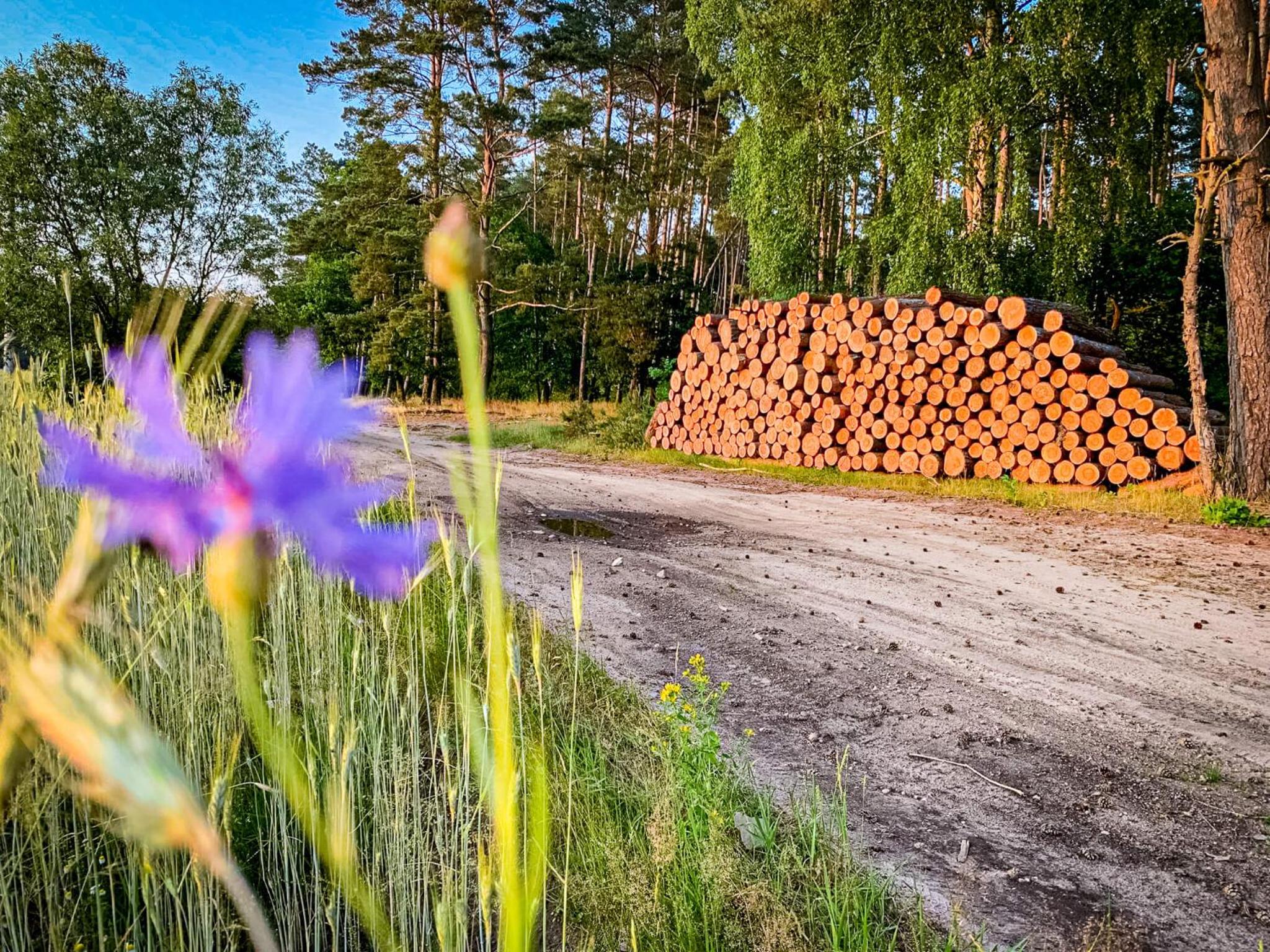 Prosportówek - Powidz - Dom nad Jeziorem z Dużym Ogrodem