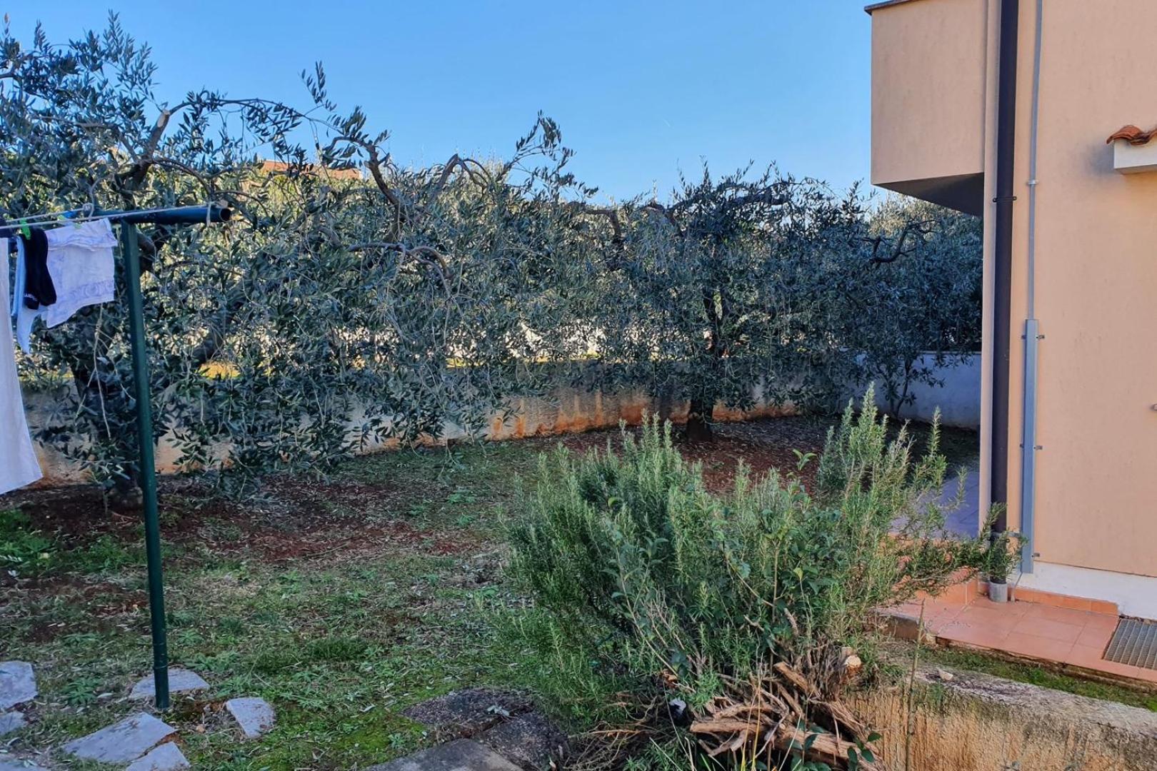 Apartments Labinac in Vabriga with garden close to sea view 3