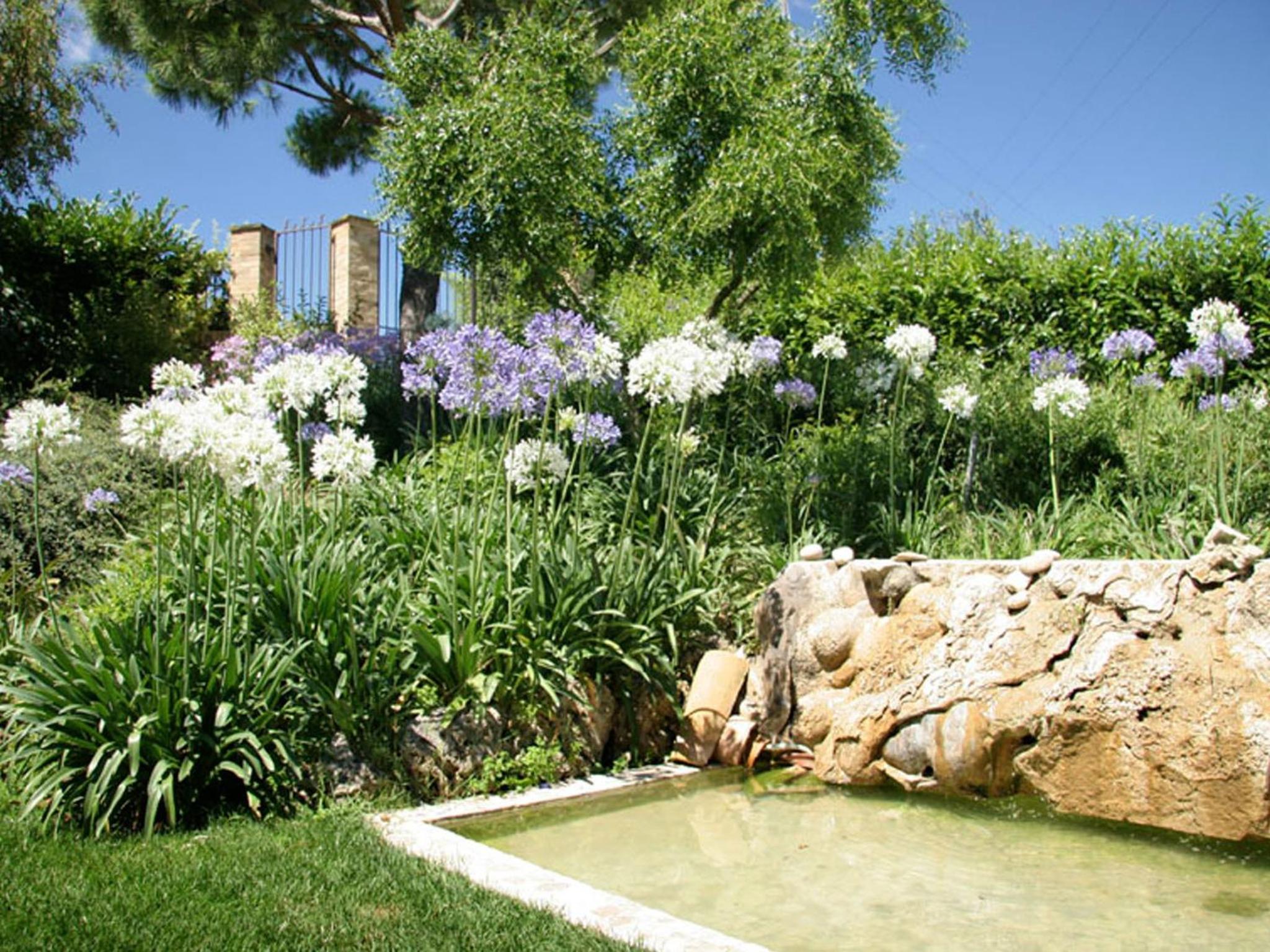 Photo 47