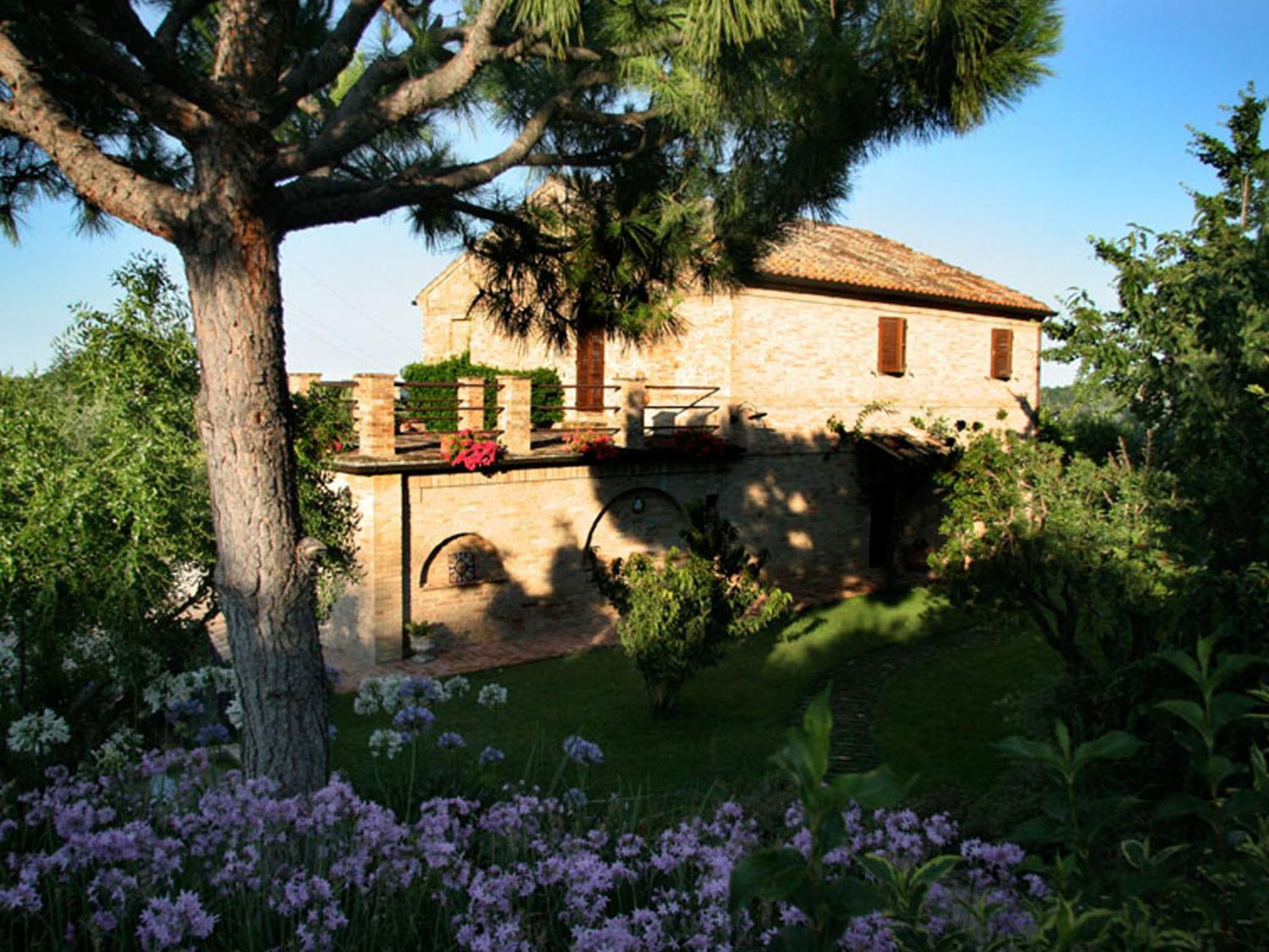 Photo 20