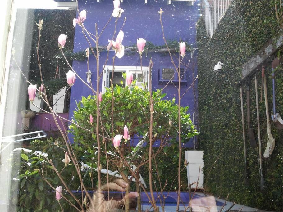 Photo 46