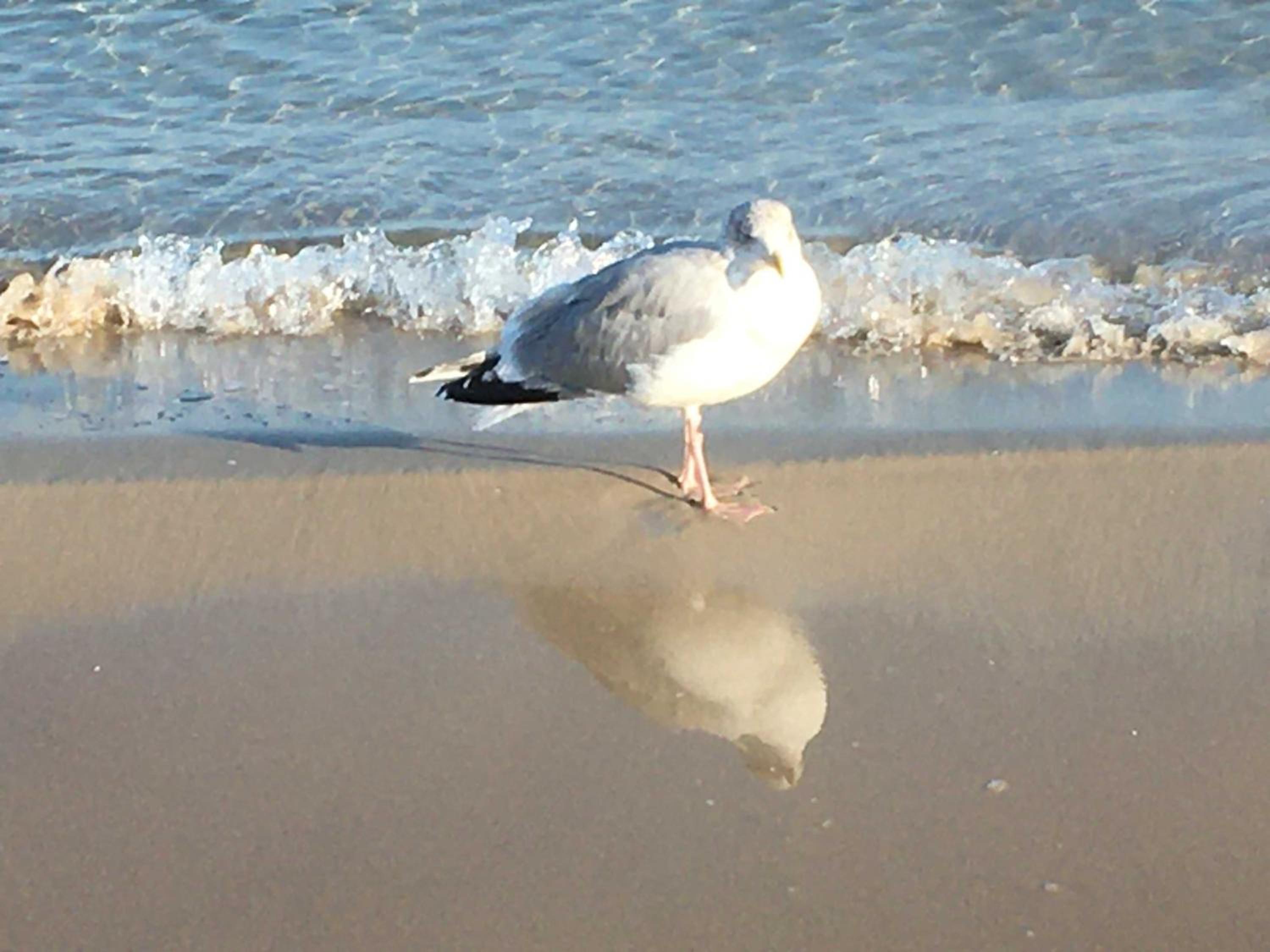 Photo 43