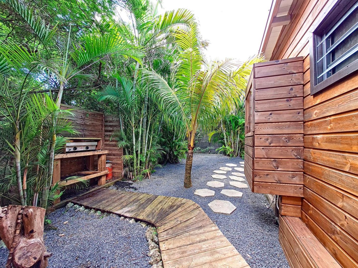Kaz Coconut view 4