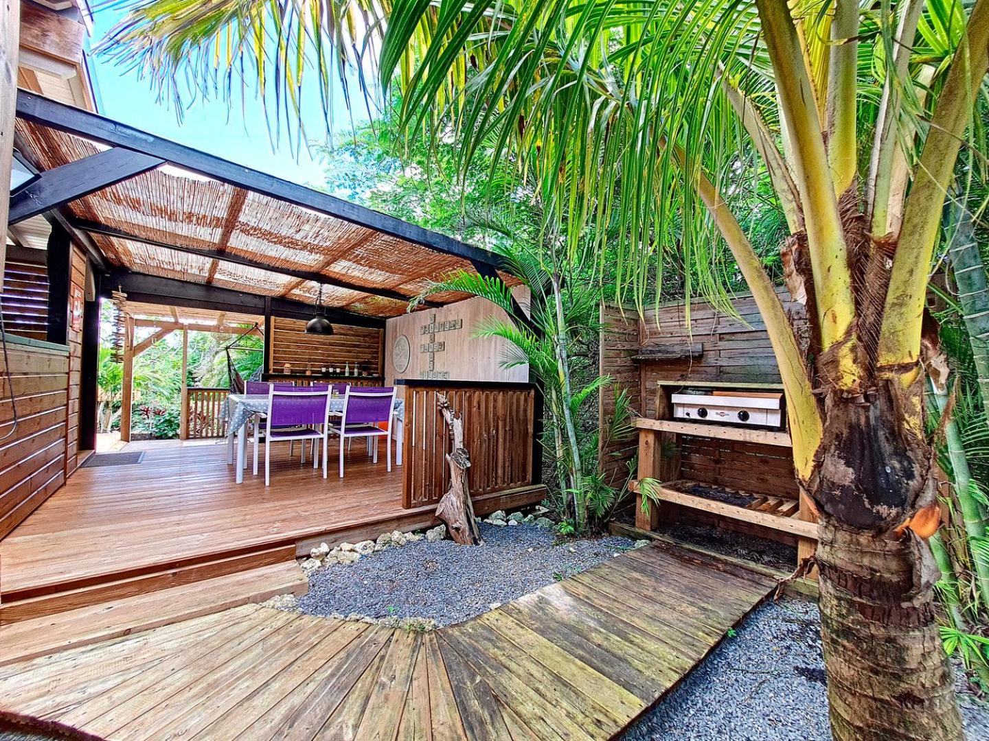 Kaz Coconut view 5