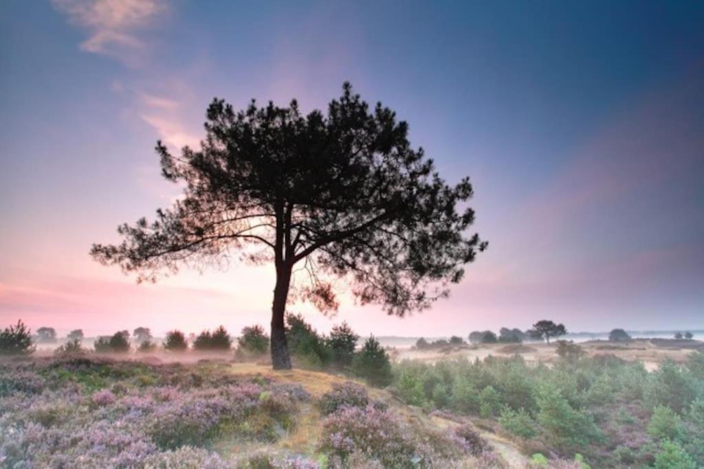 Vakantiehuis Drents-Friese Wold