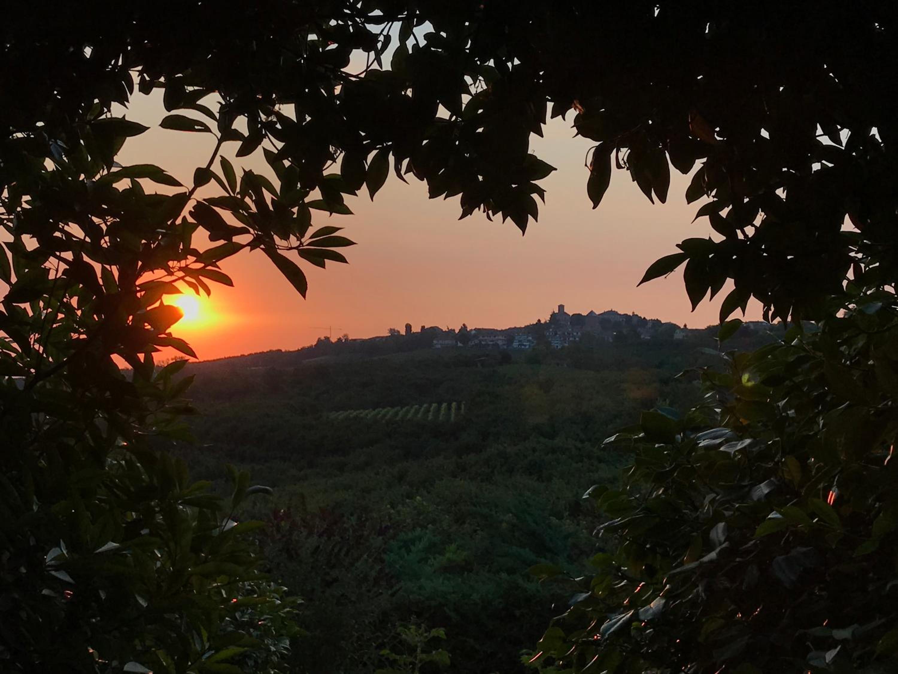 Villa Bricco dei Cogni