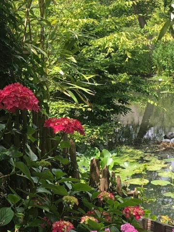 Luxe Room Canal Sight