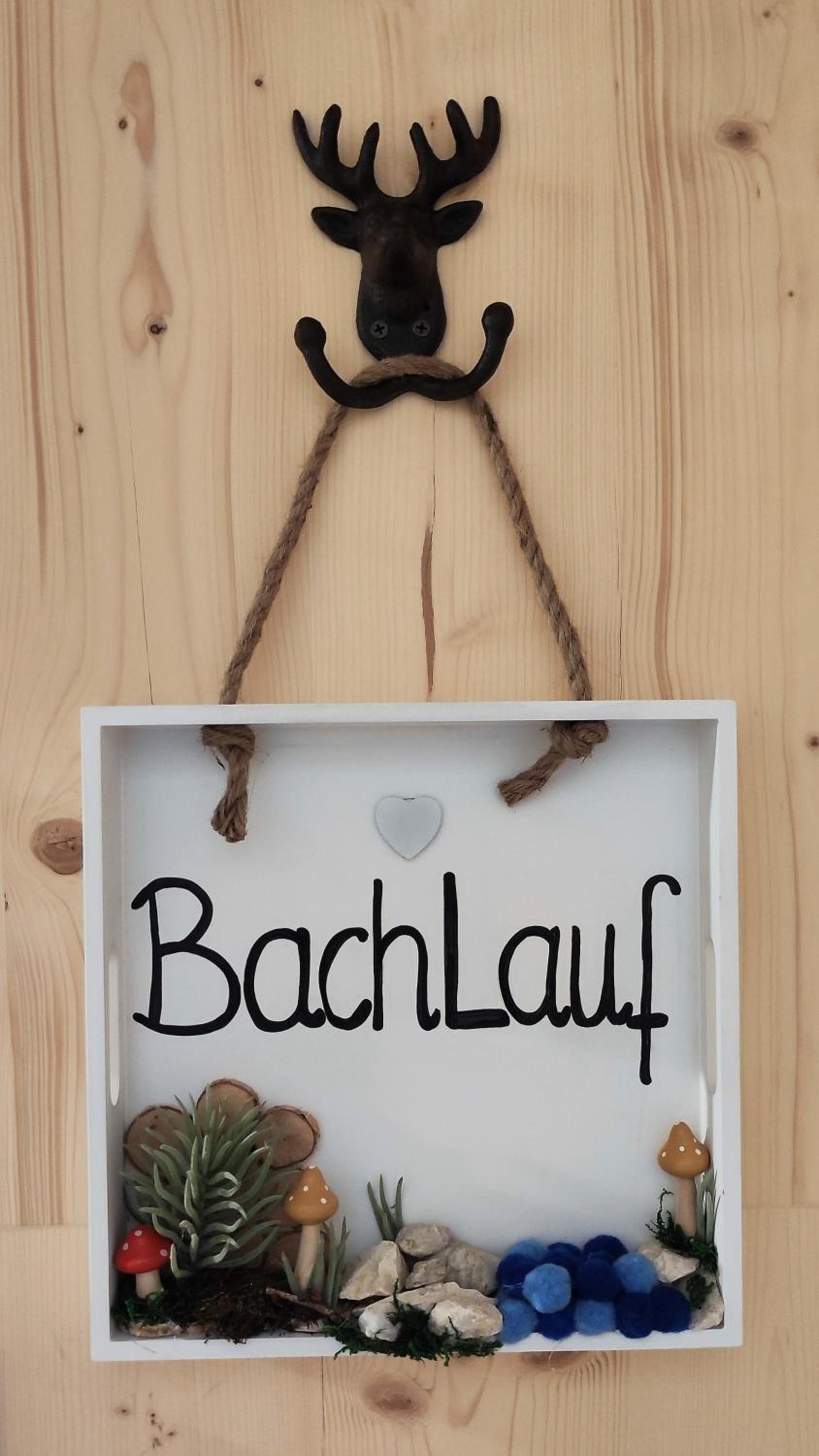BachLauf im Happy Allgäu