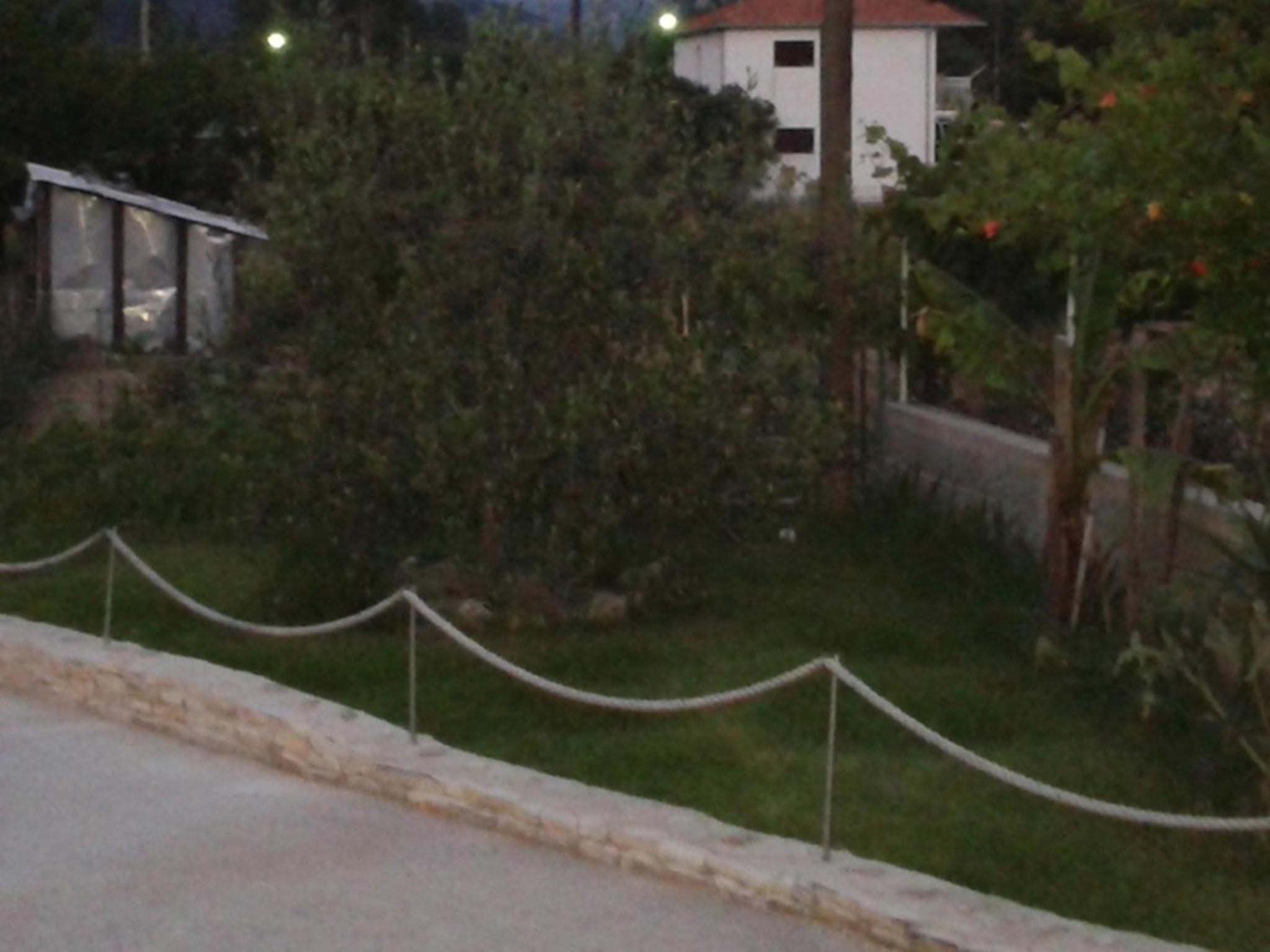Photo 44