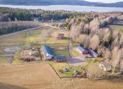 Gula huset, Lakene Ostgård