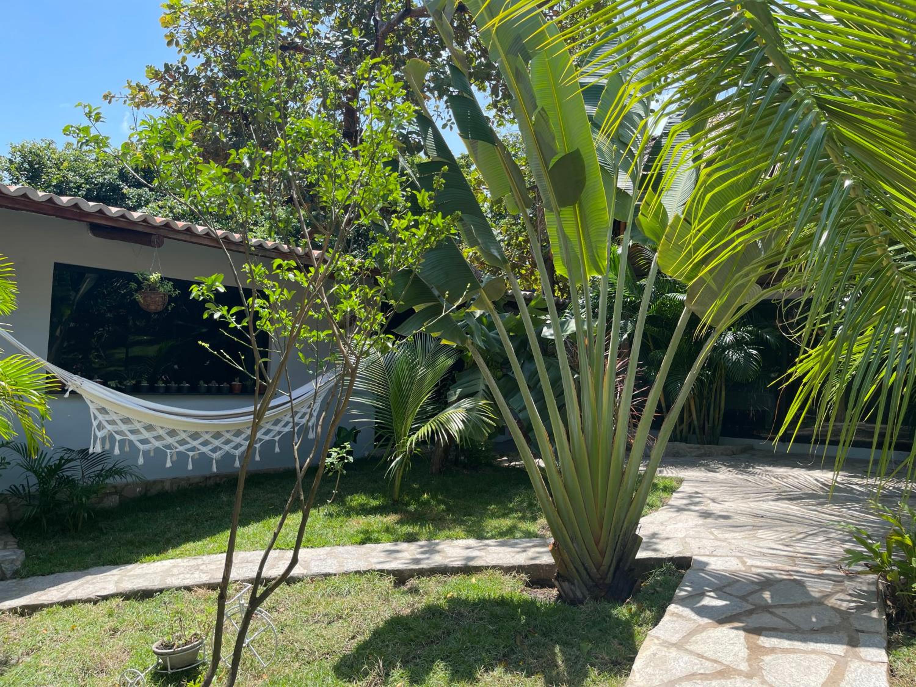 Safira Beach House view 4