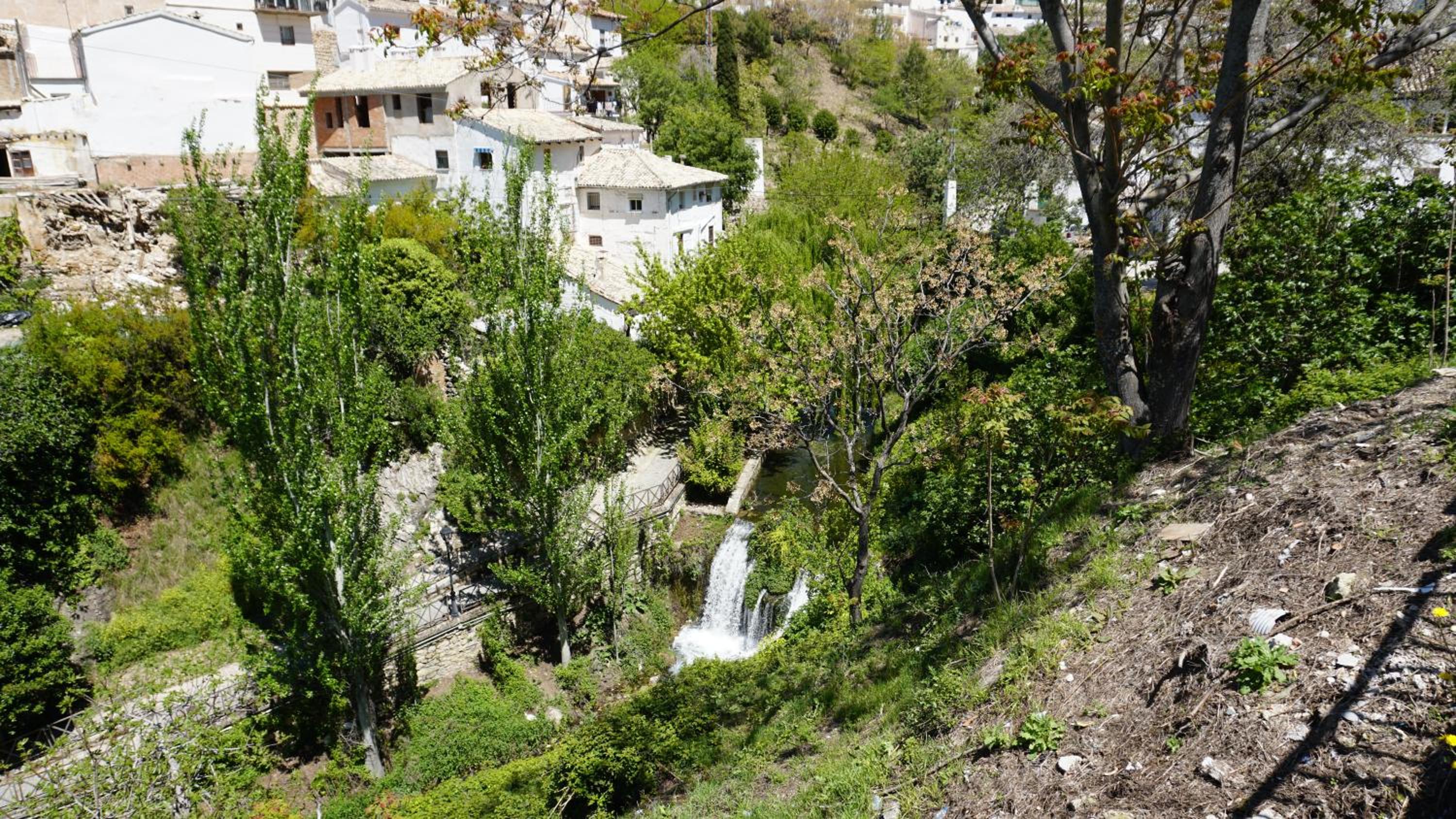 Photo 7