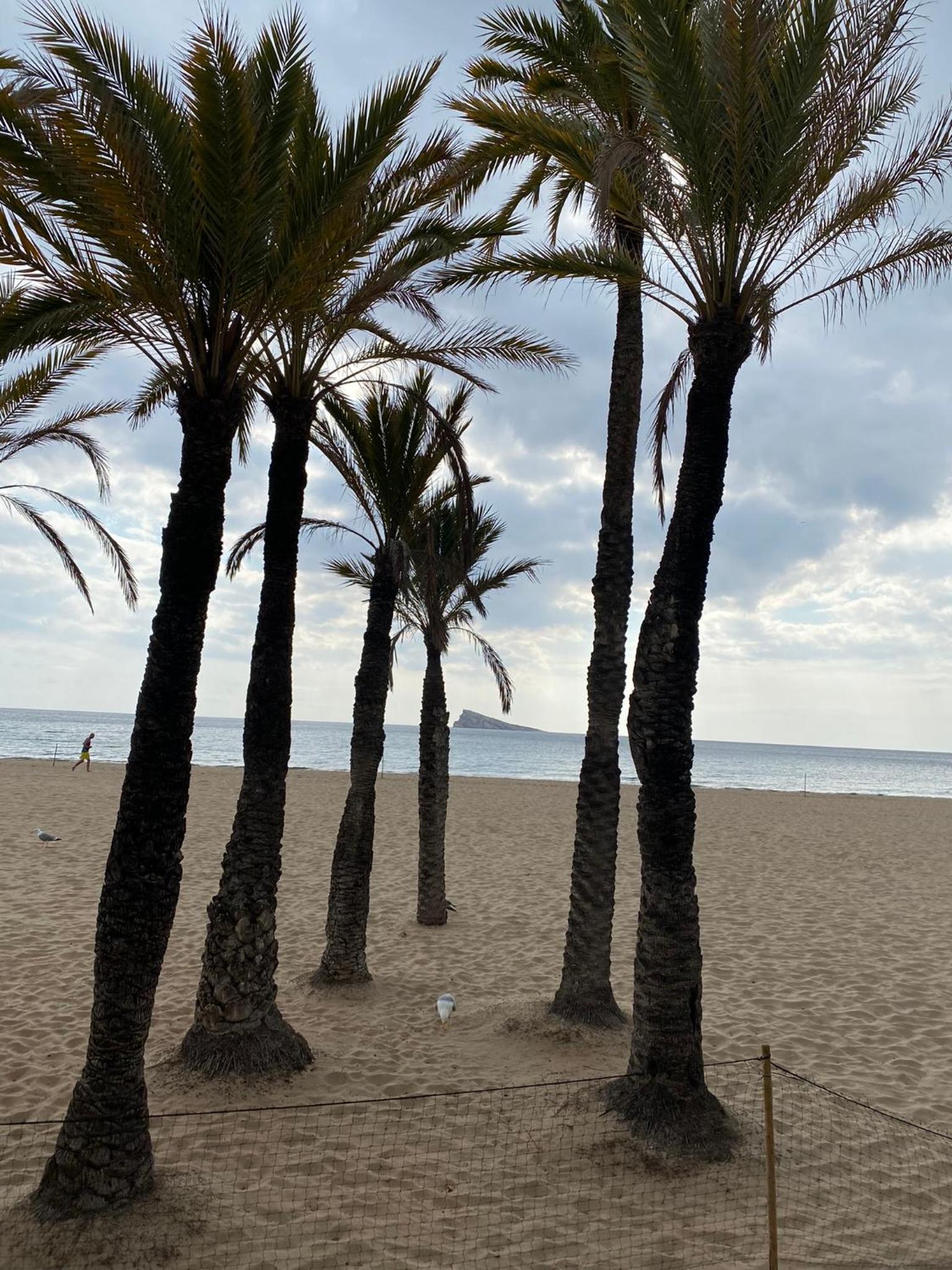 SOLYMAR LEVANTE Apartamento Completo con Piscina y Parking Comunitario