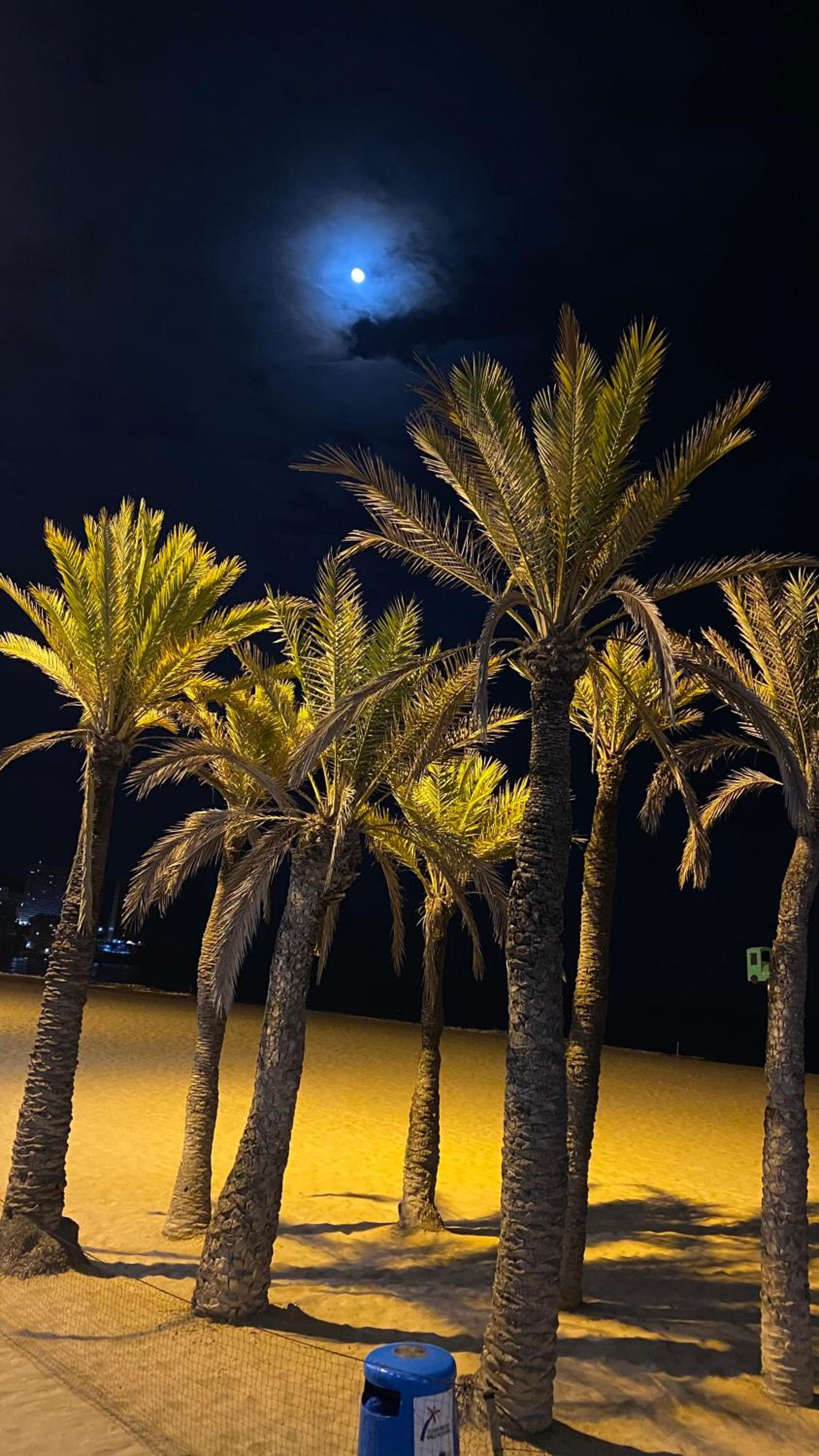 SOLYMAR LEVANTE Apartamento Completo con Piscina y Parking Comunitario