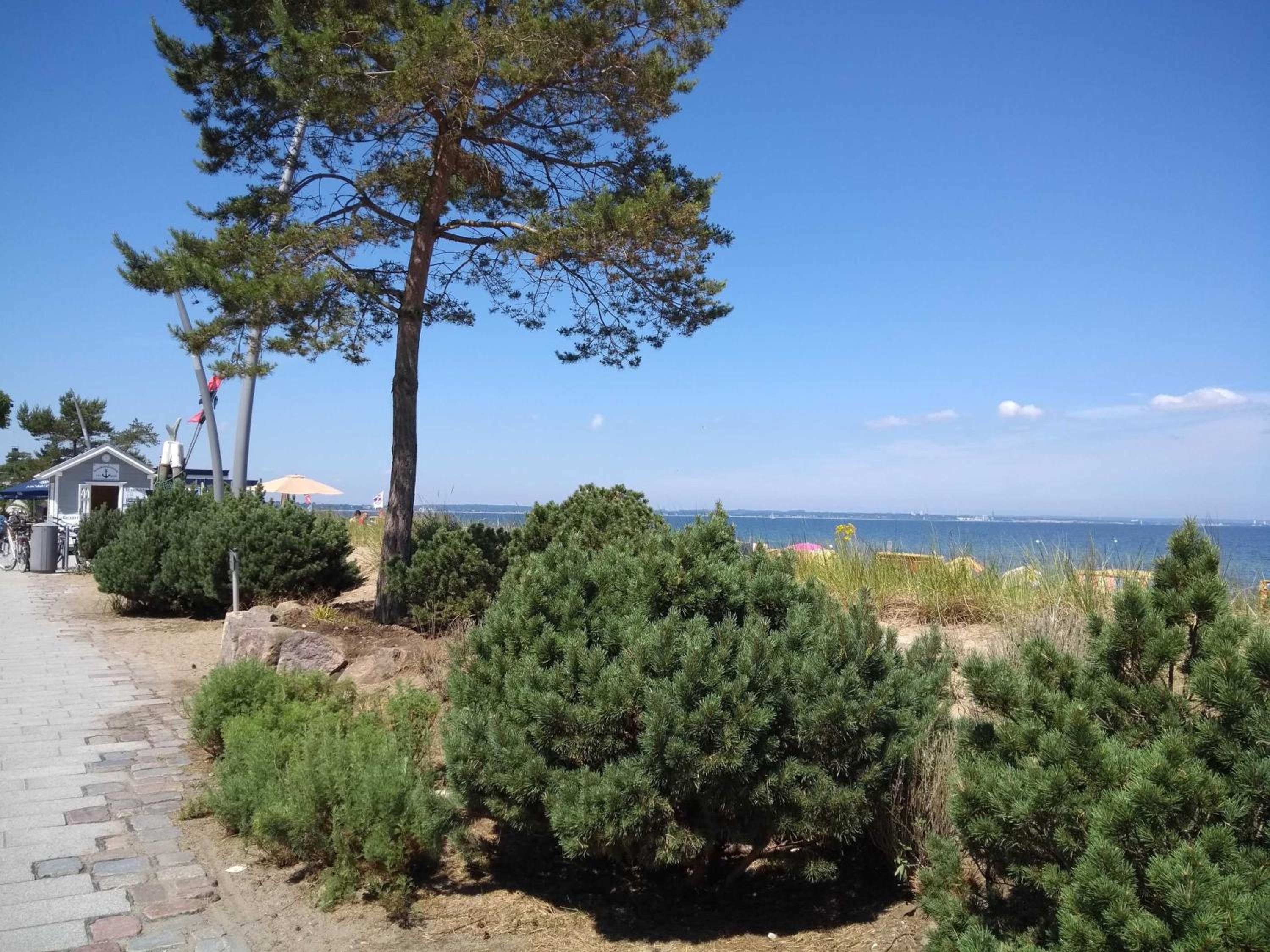Ost35d Ferienwohnung OstseeSchätzchen