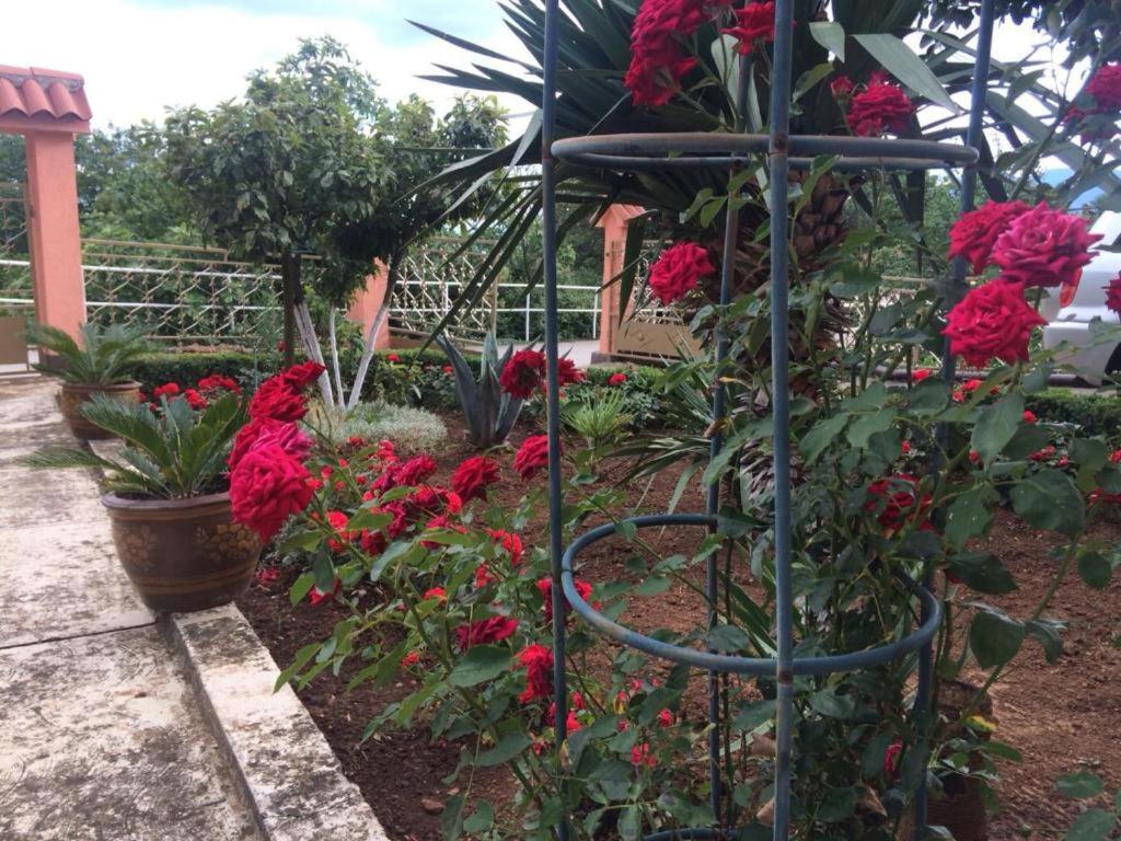 Photo 19
