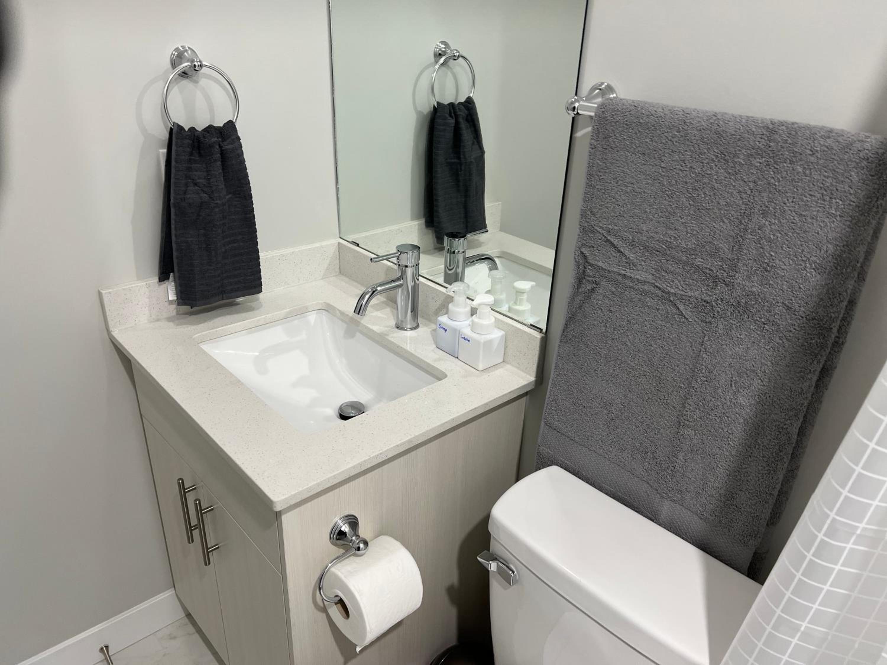 Entire Guest Suite-Self Check in