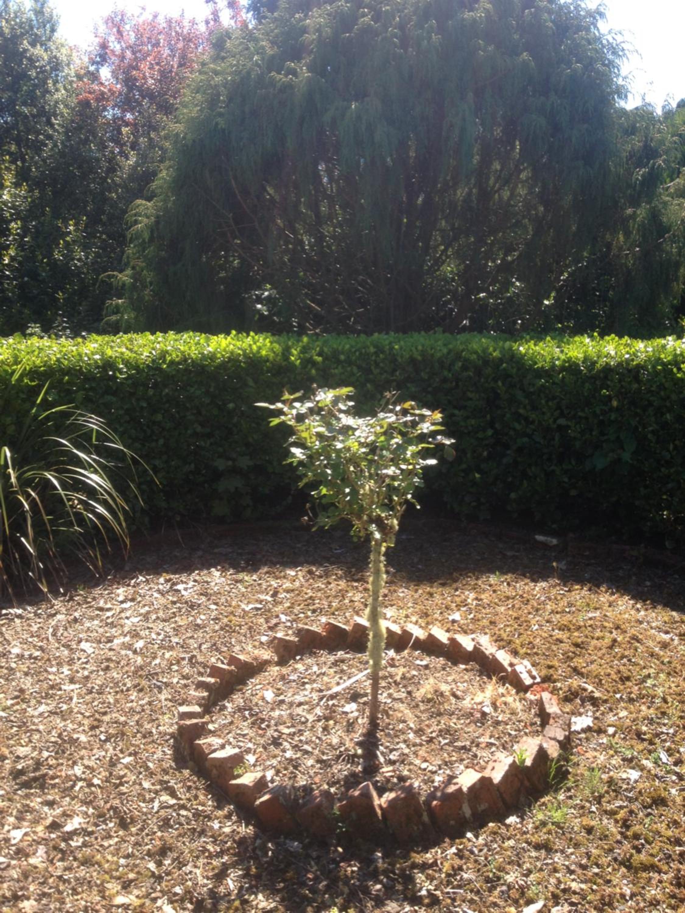 Photo 28
