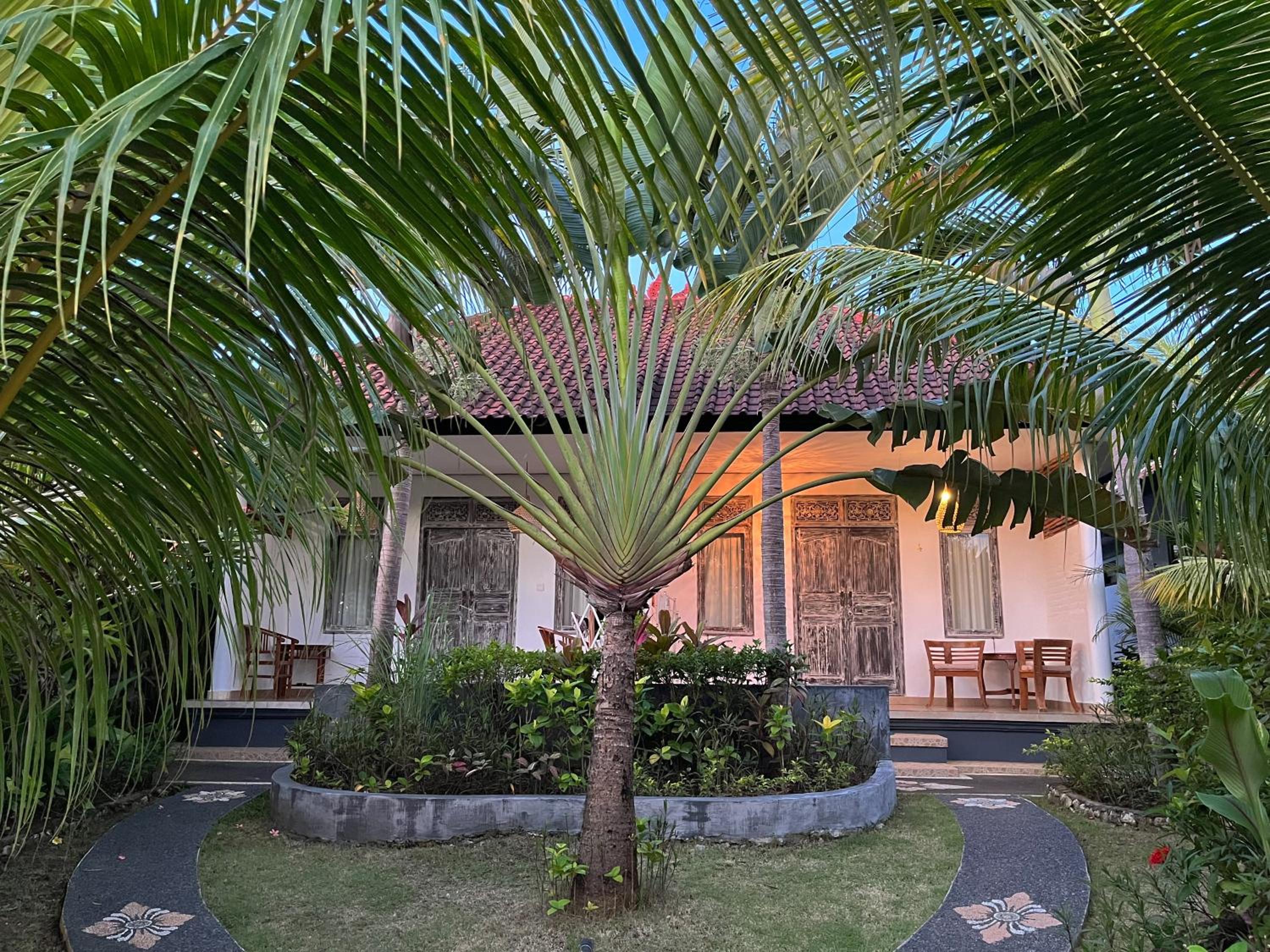 Photo 8
