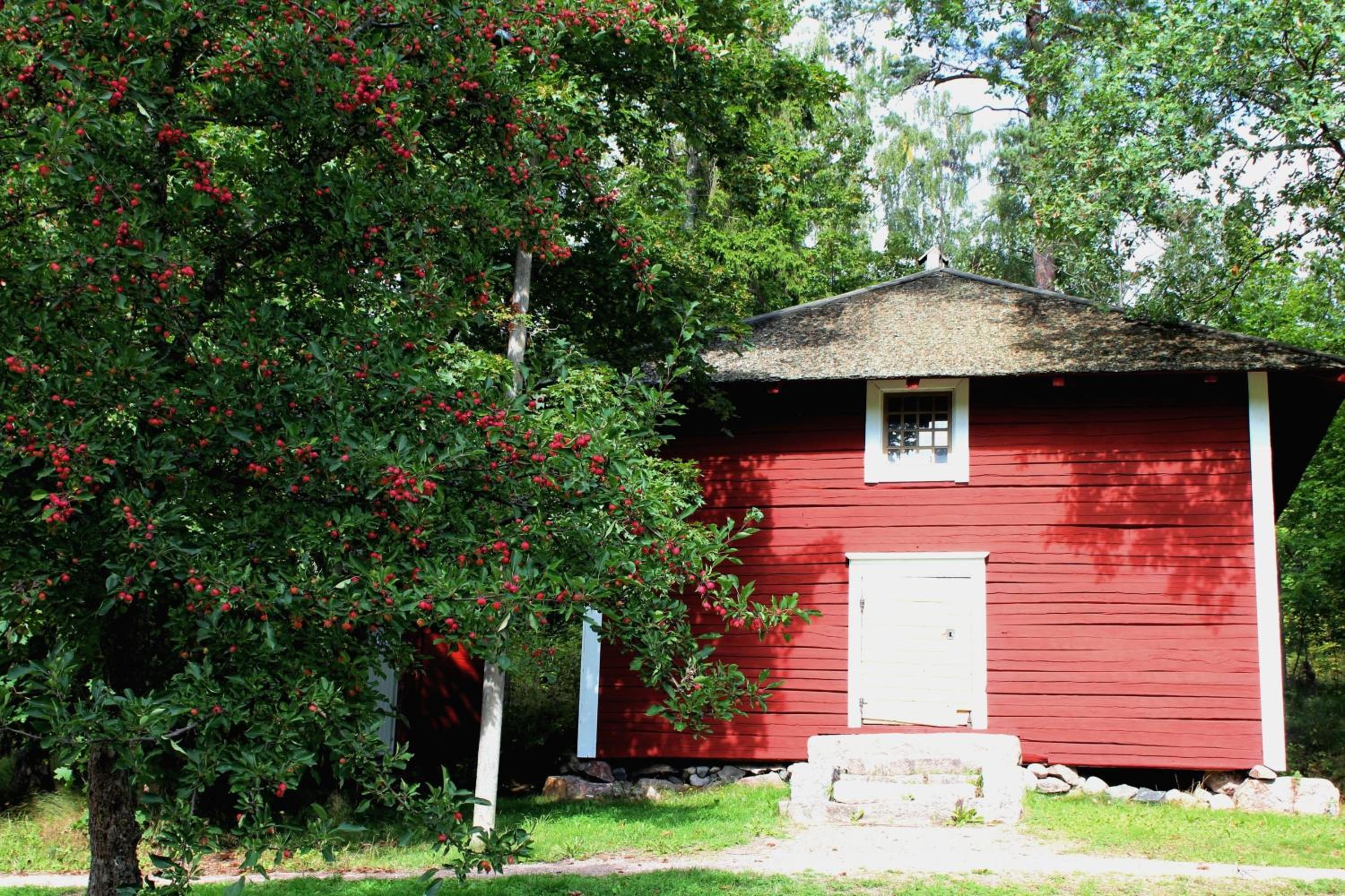Photo 20