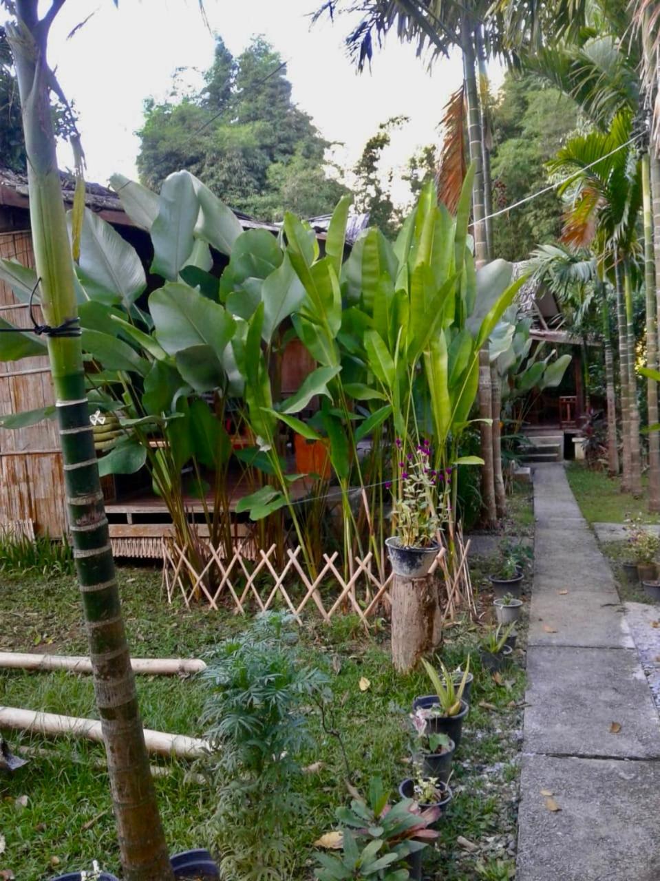 Phoxay Ngam Resort