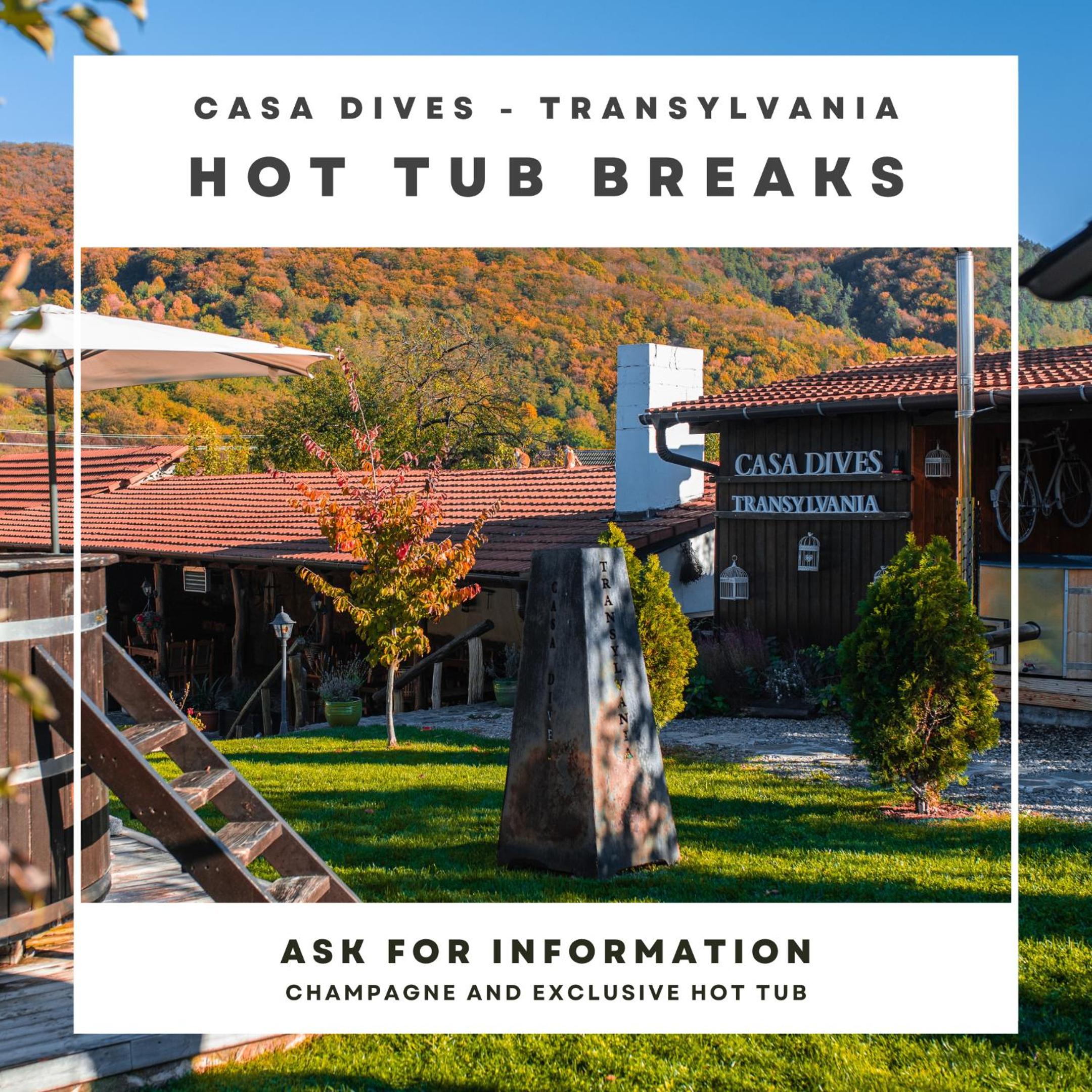 Casa Dives - Varianta Boierească