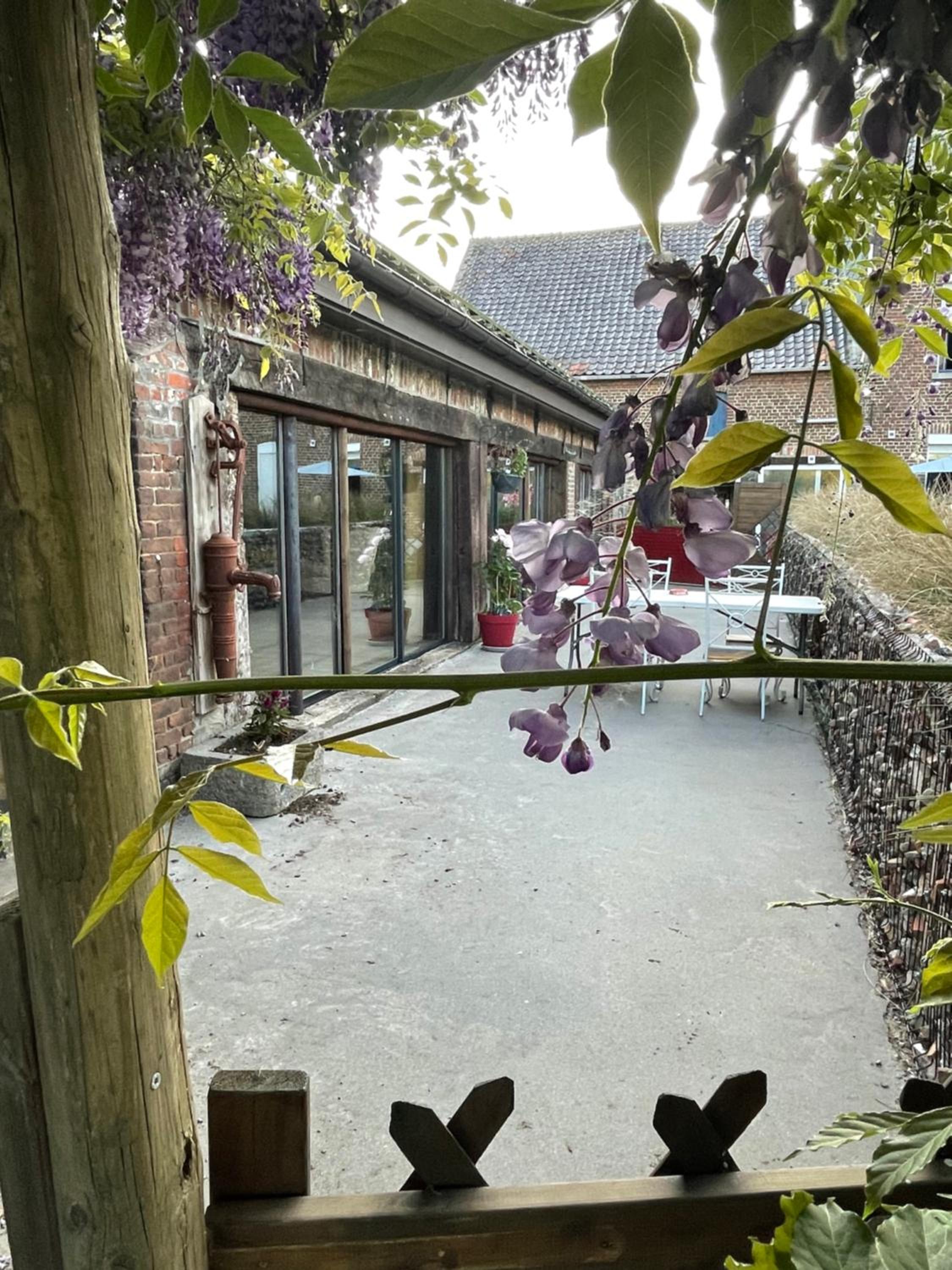 Gite Au champ du bouillon proche de Pairi Daiza wellness en option