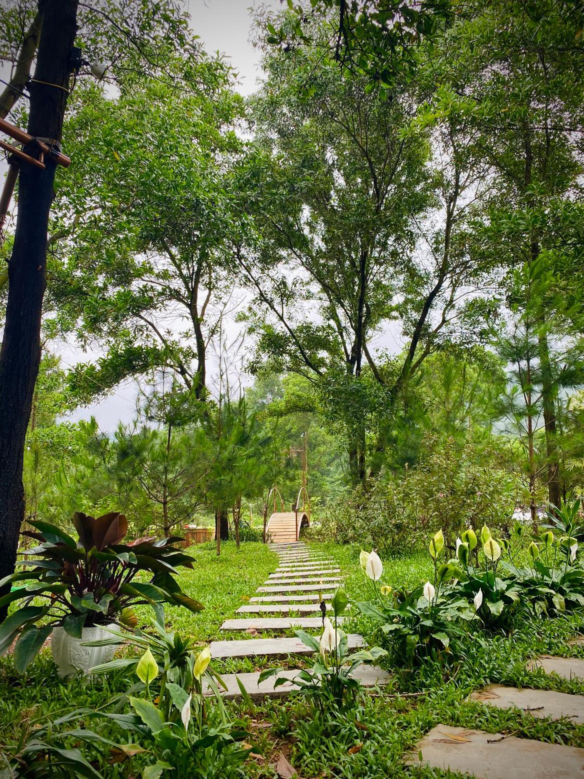 Moon Villa Soc Son - Venuestay