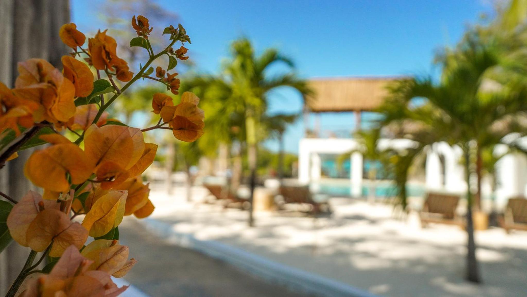 The Mida Creek Hotel