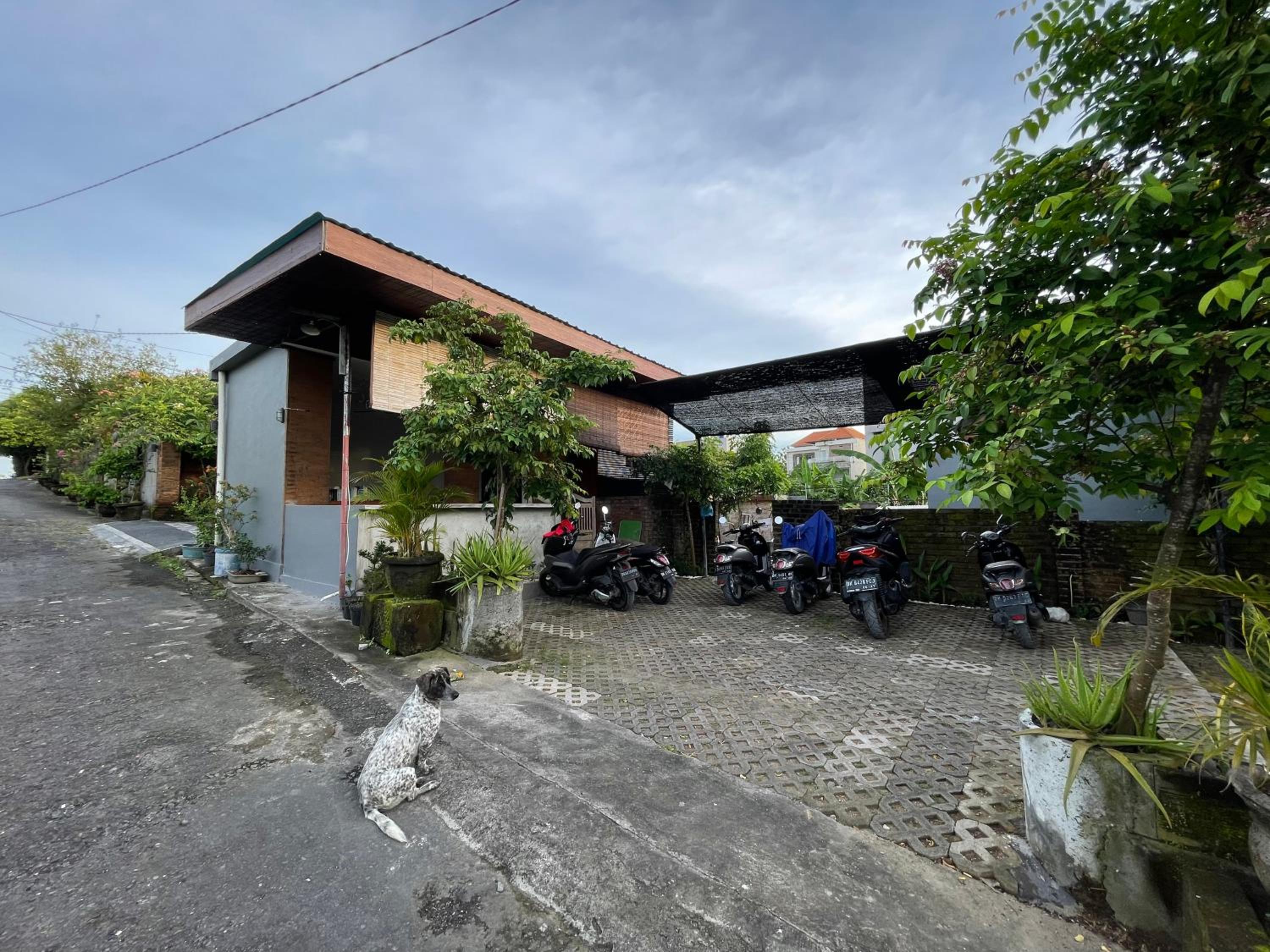 Belimbing Guest House Canggu view 5
