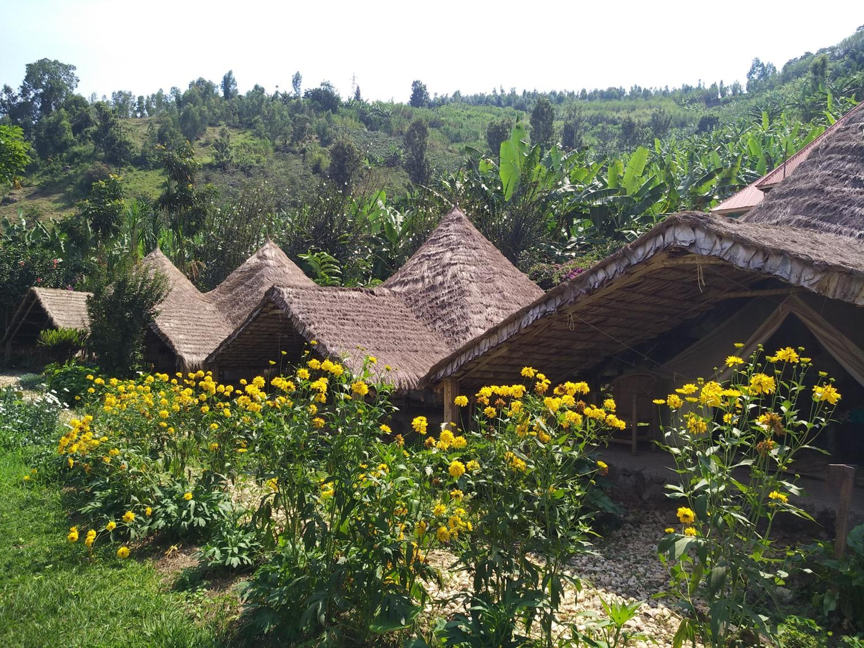 INZU Lodge, photo 42