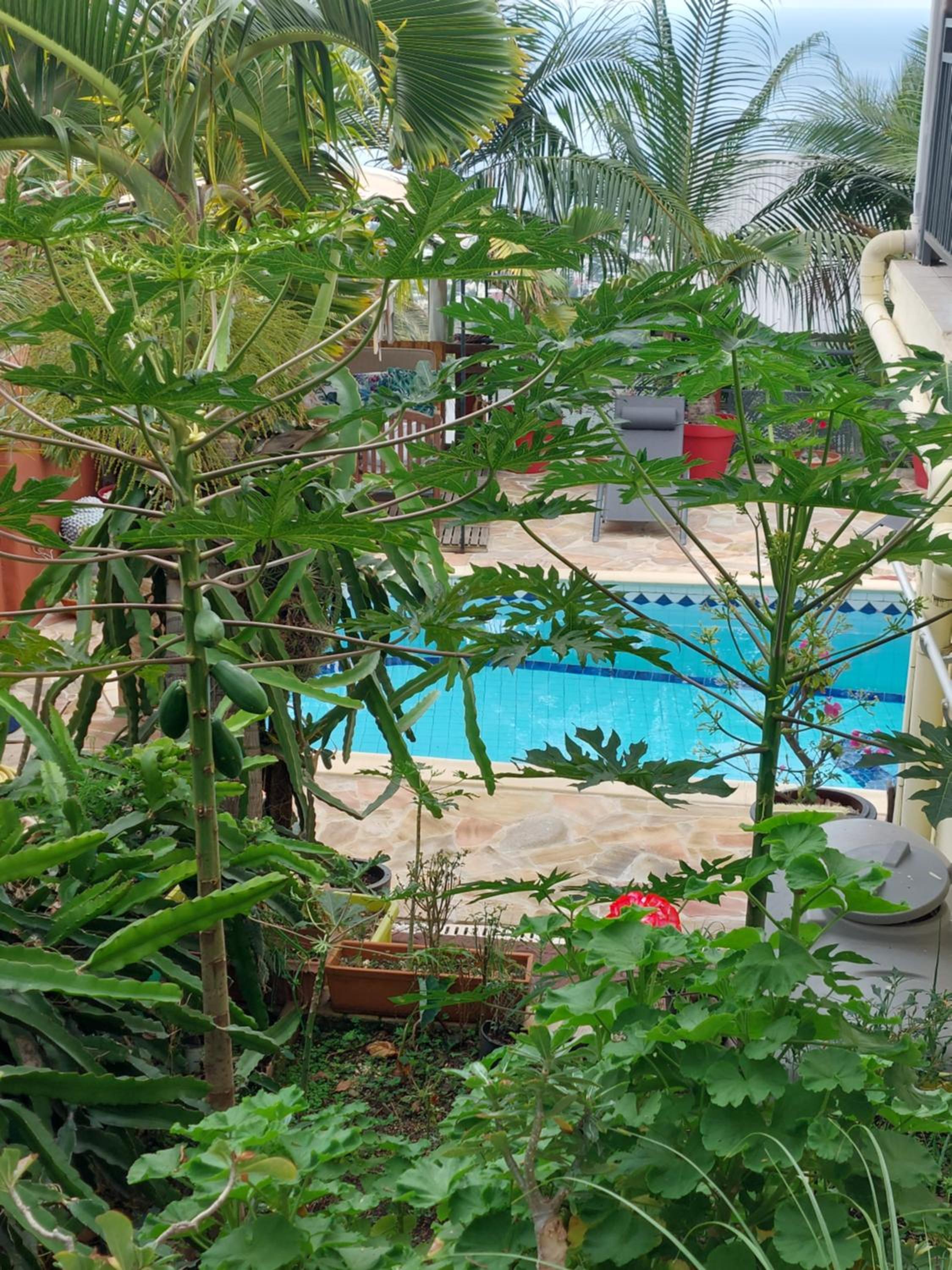 Nidamour, un logement fait pour vous view 4