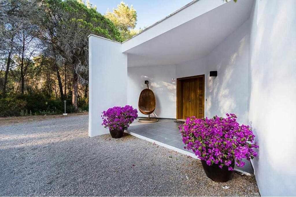 Peaceful villa in Santa Gertrudis