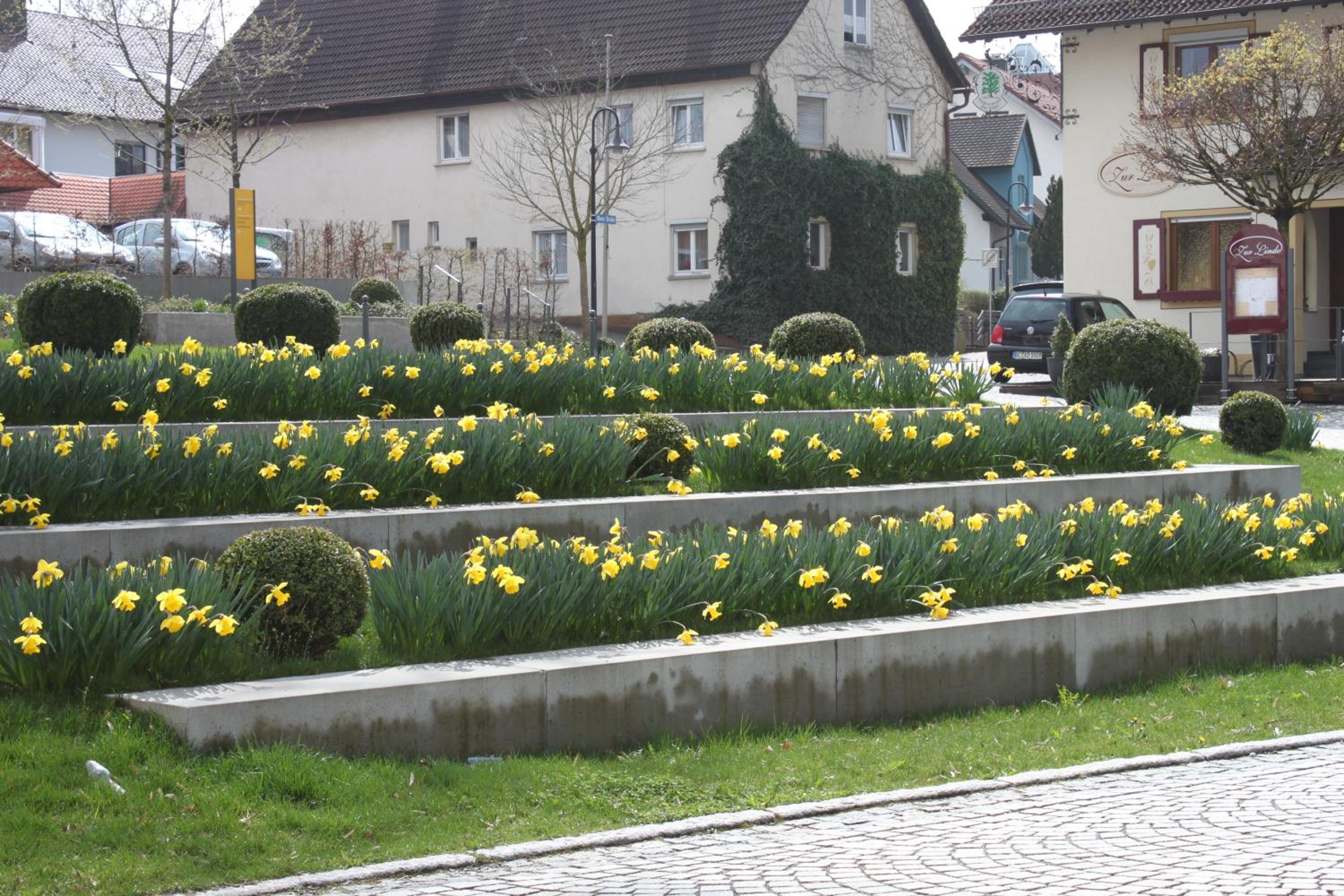Gasthaus und Pension Zur Linde