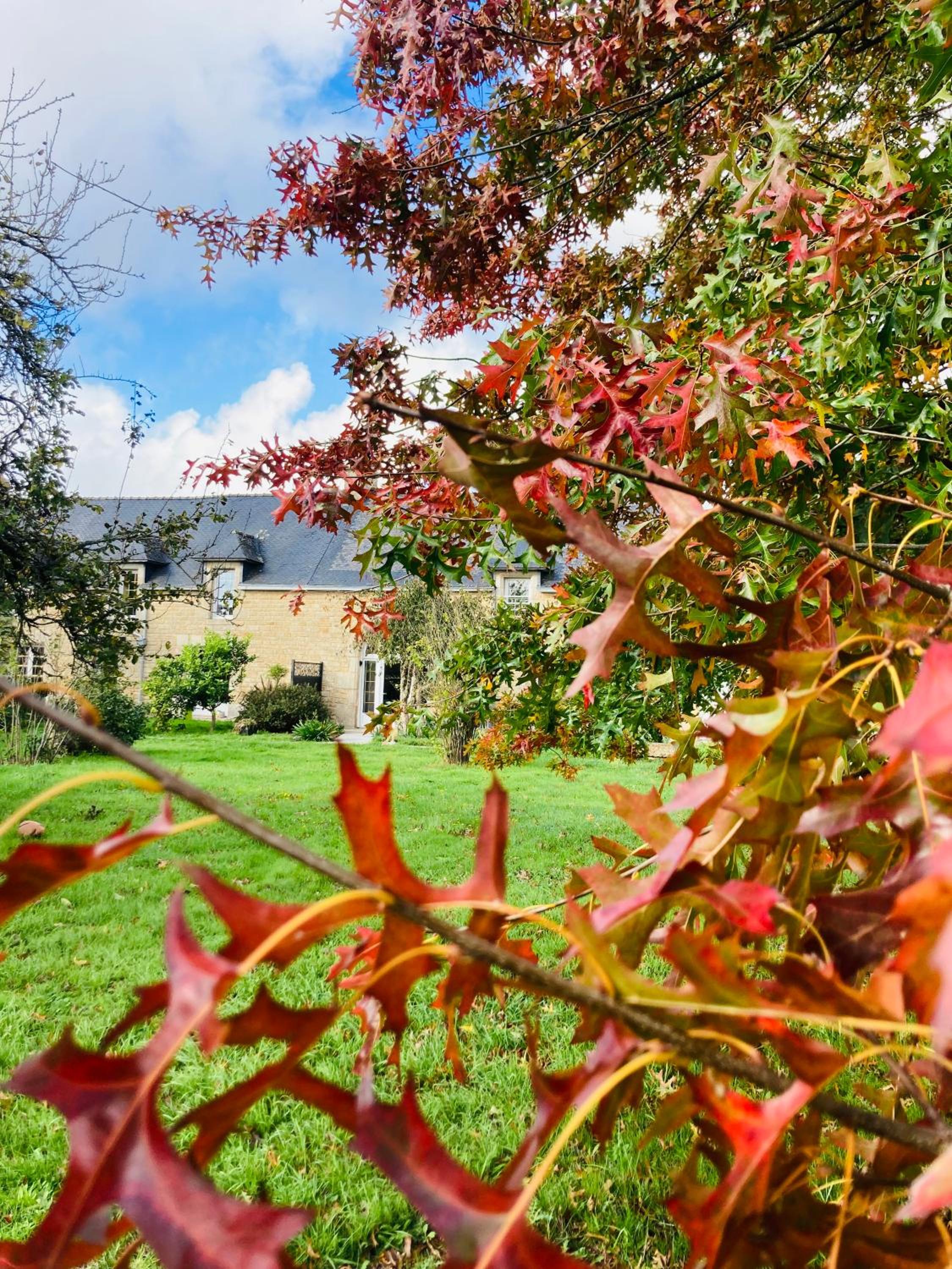 Le Clos de Kermadec, photo 92
