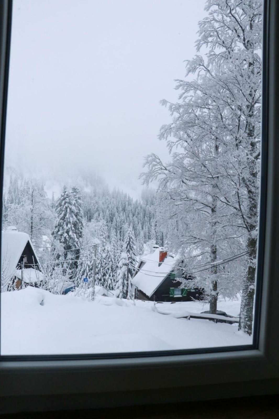 Apartmani Dimitrije Jahorina