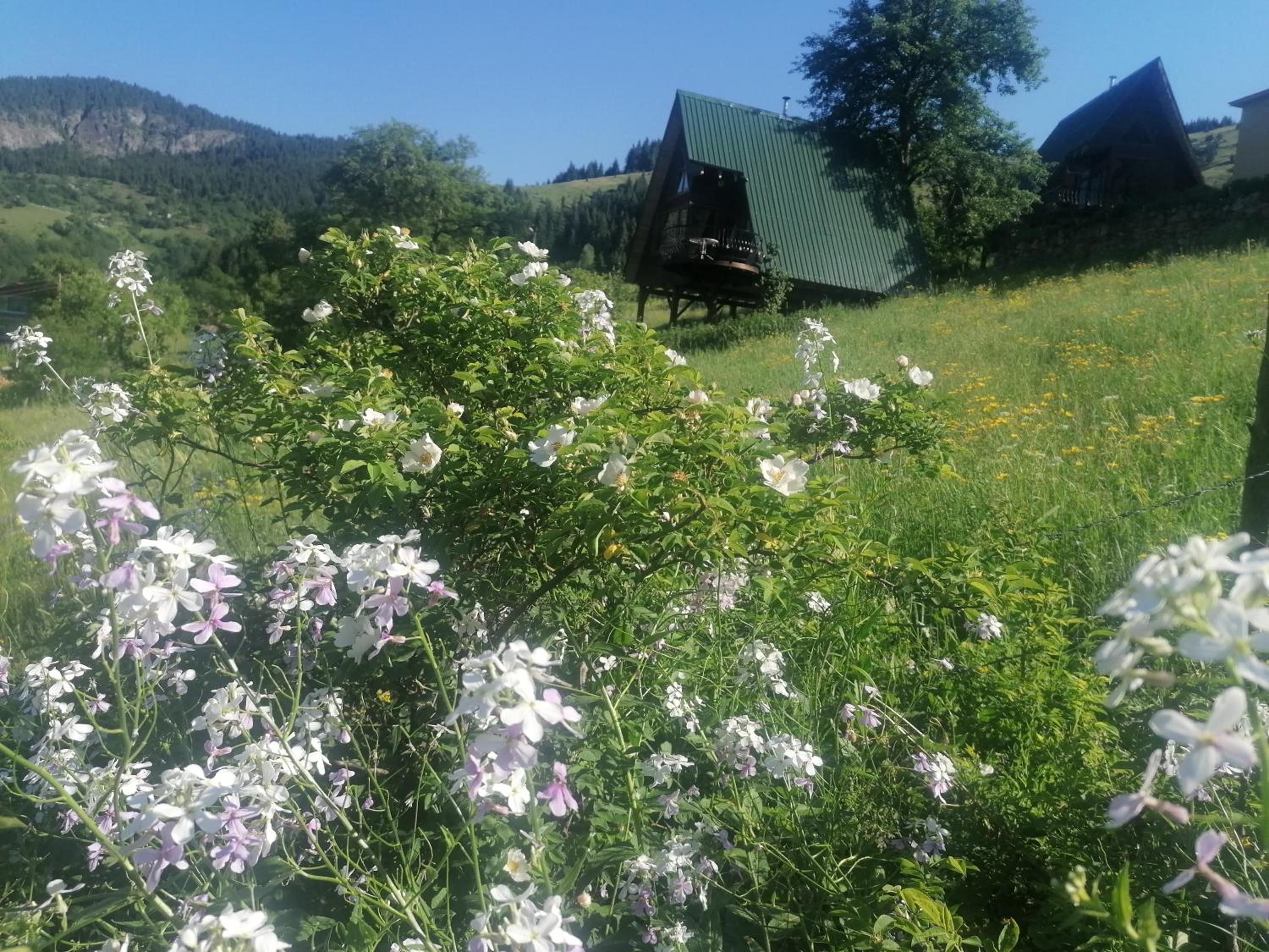 Süllü Dağ Evi