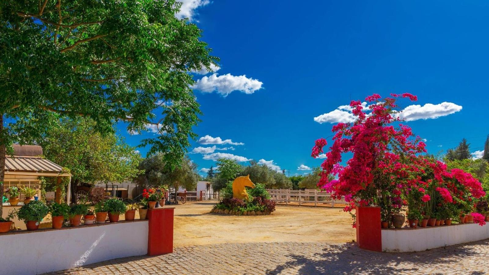 Finca la Cañera Alcalá de Guadaira by Ruralidays